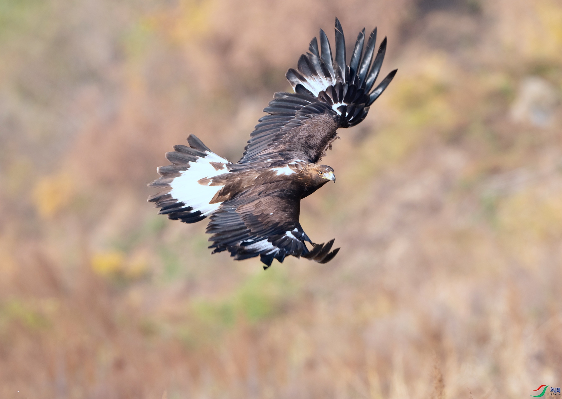 DSC04545 ���� 2_����.jpg