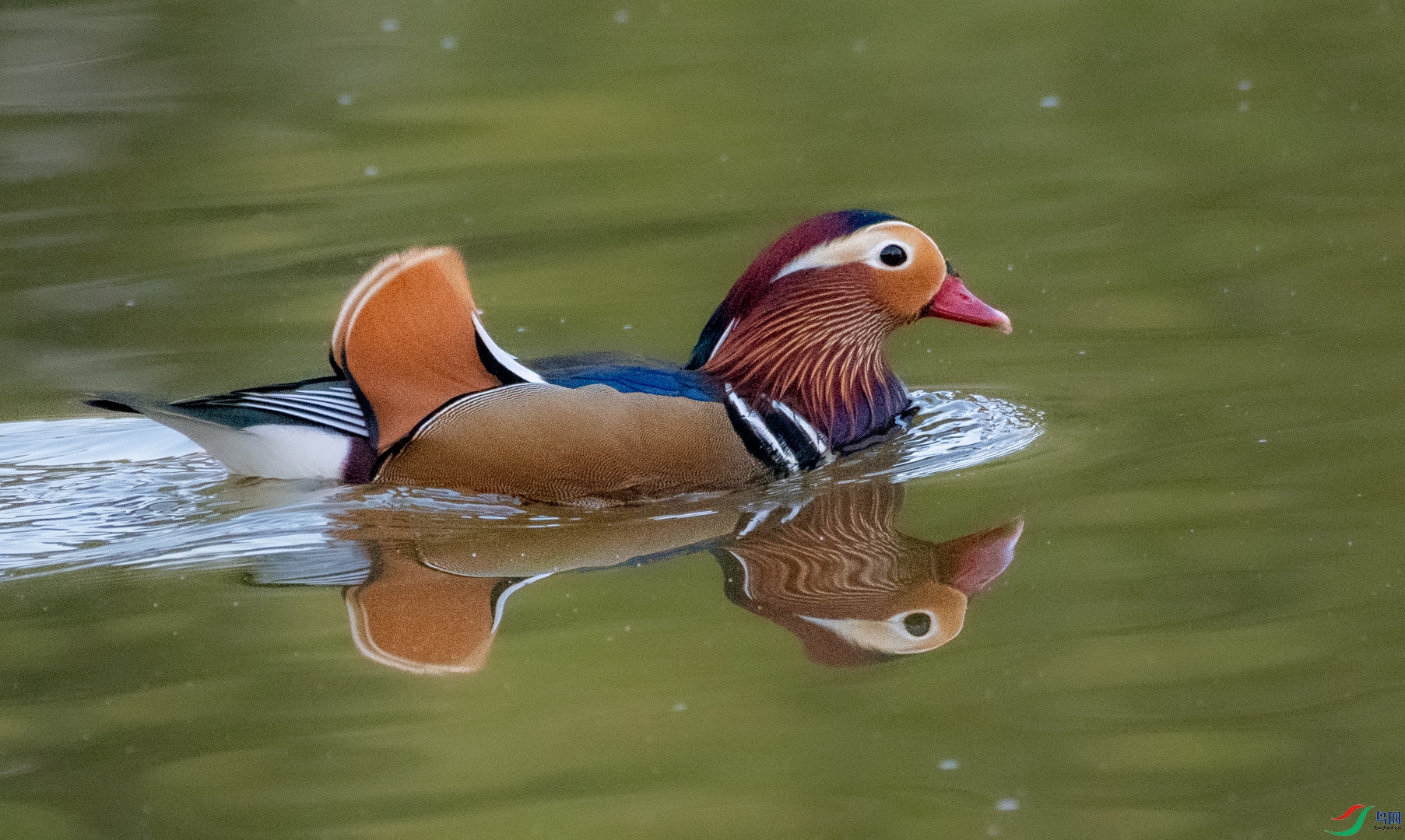 DSC_7373.jpg