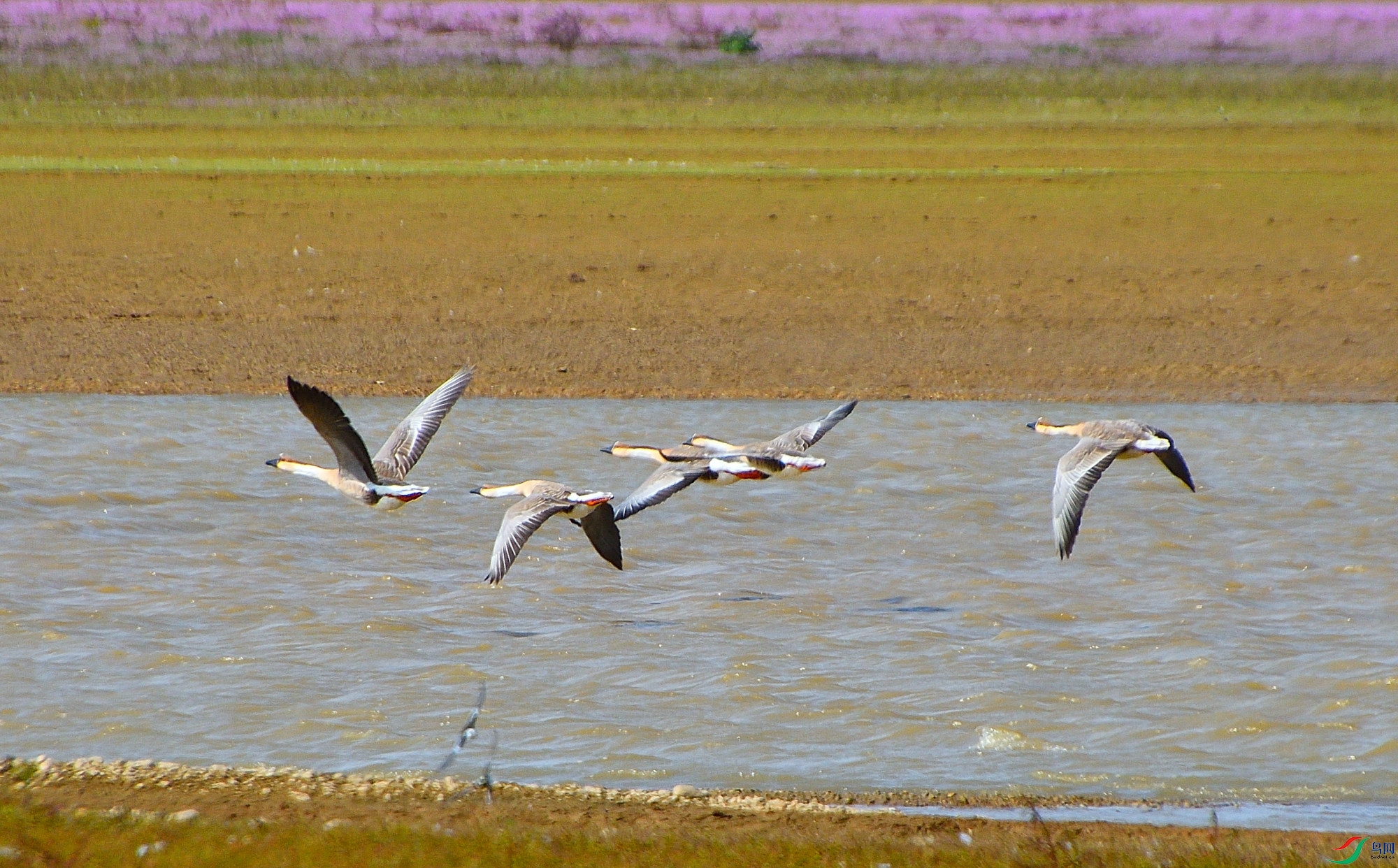 DSC_2325_303.JPG