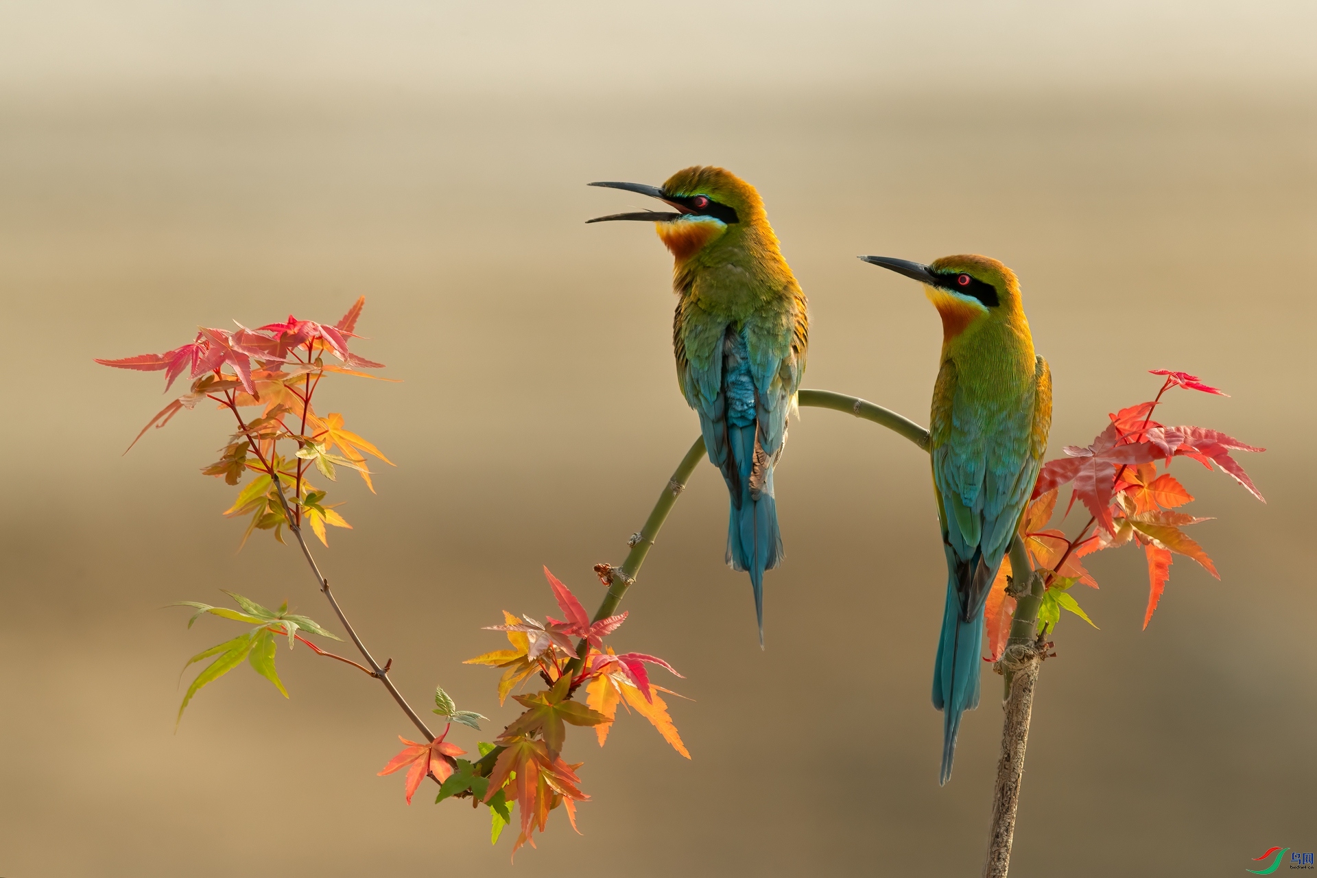 B86I6630 _����.jpg