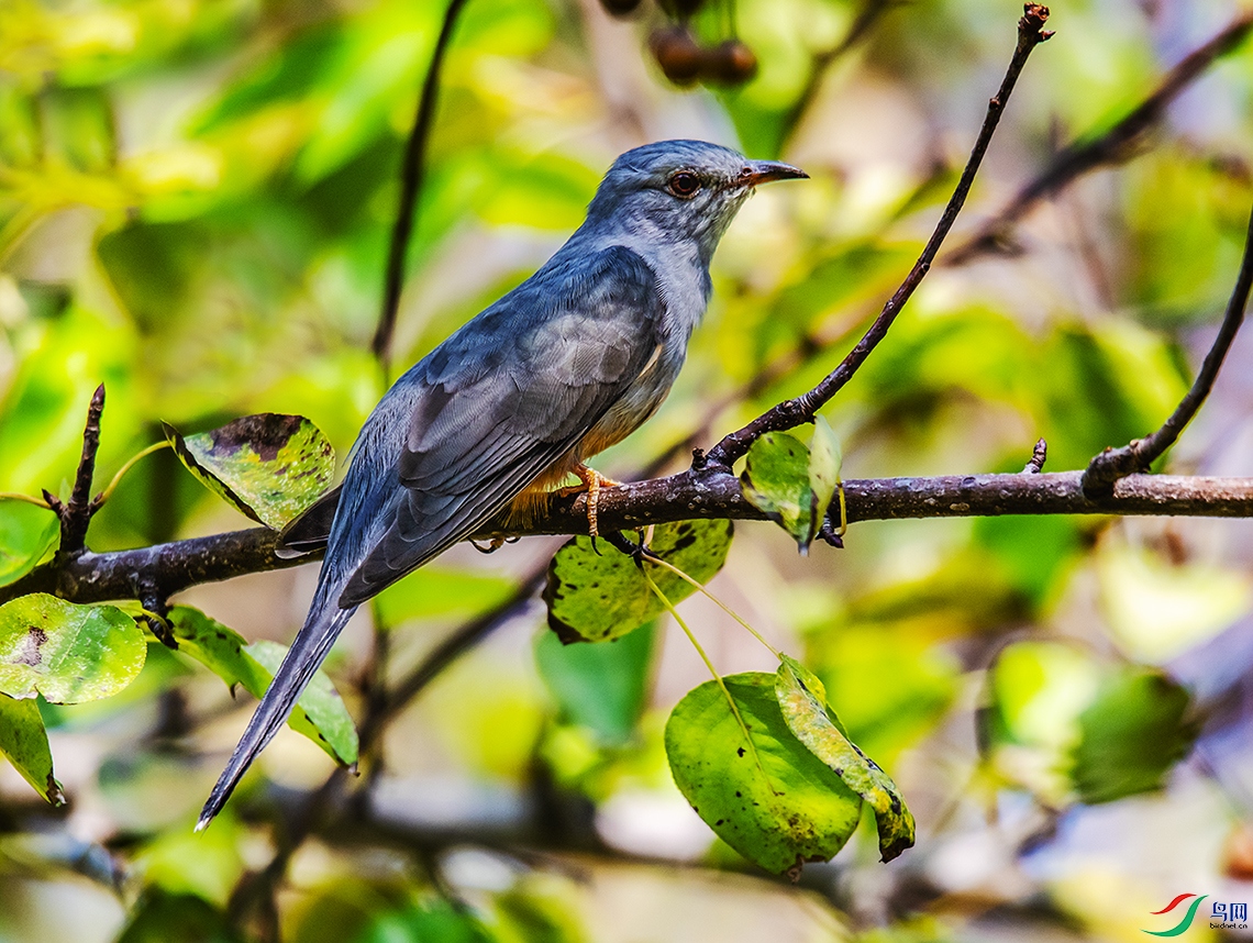 DSC_9757.jpg