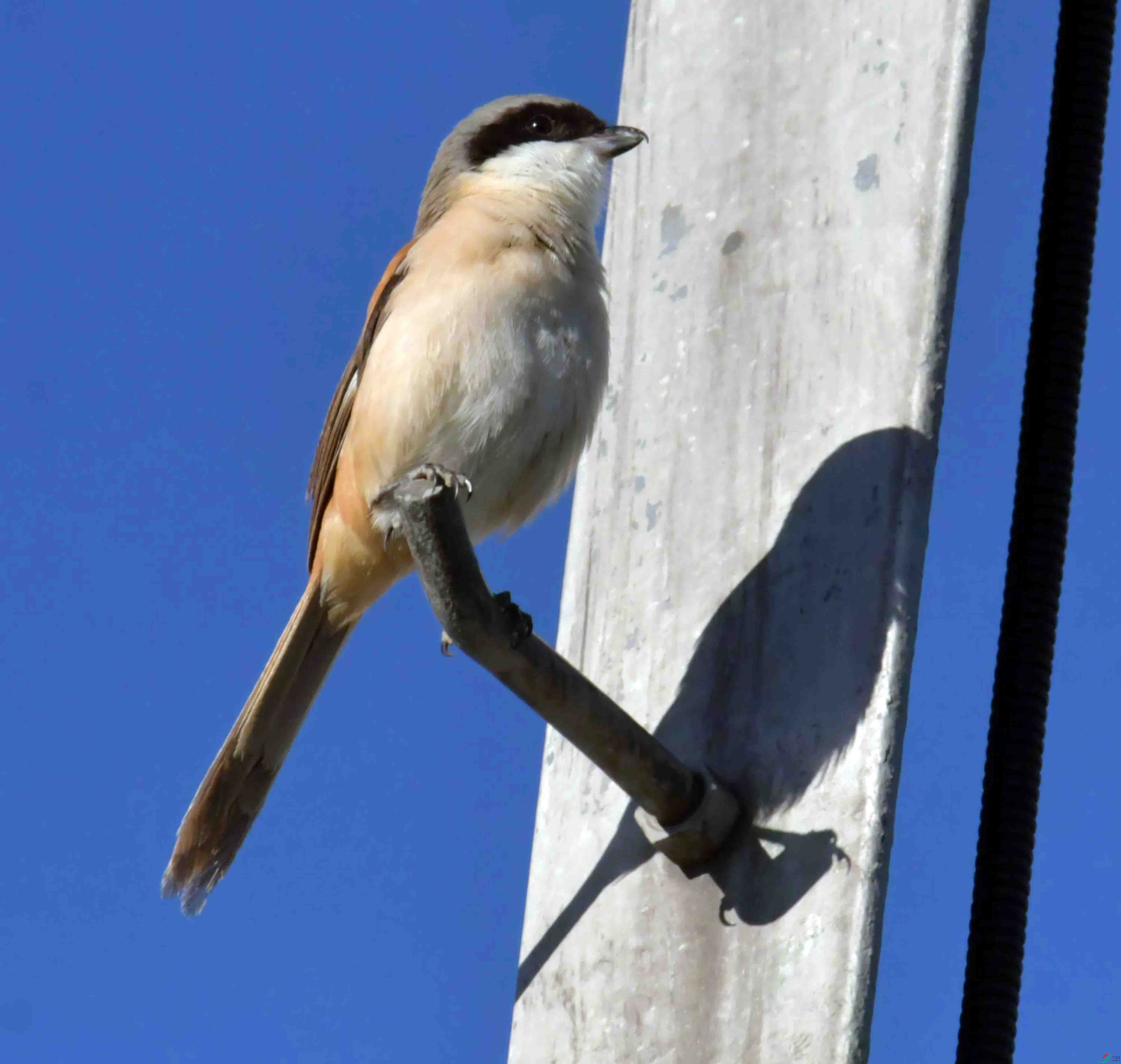 DSC_9300.JPG