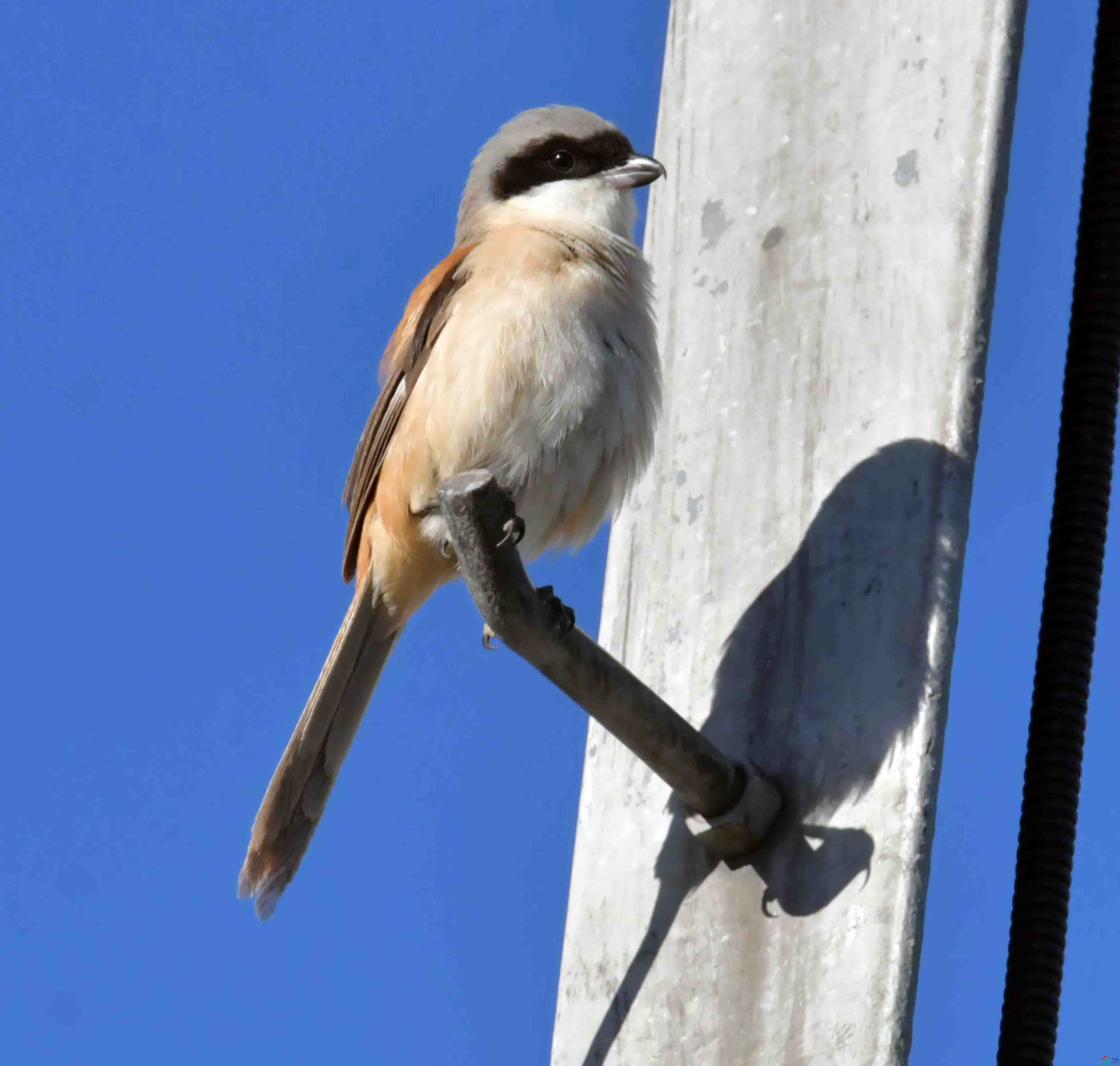 DSC_9302.JPG