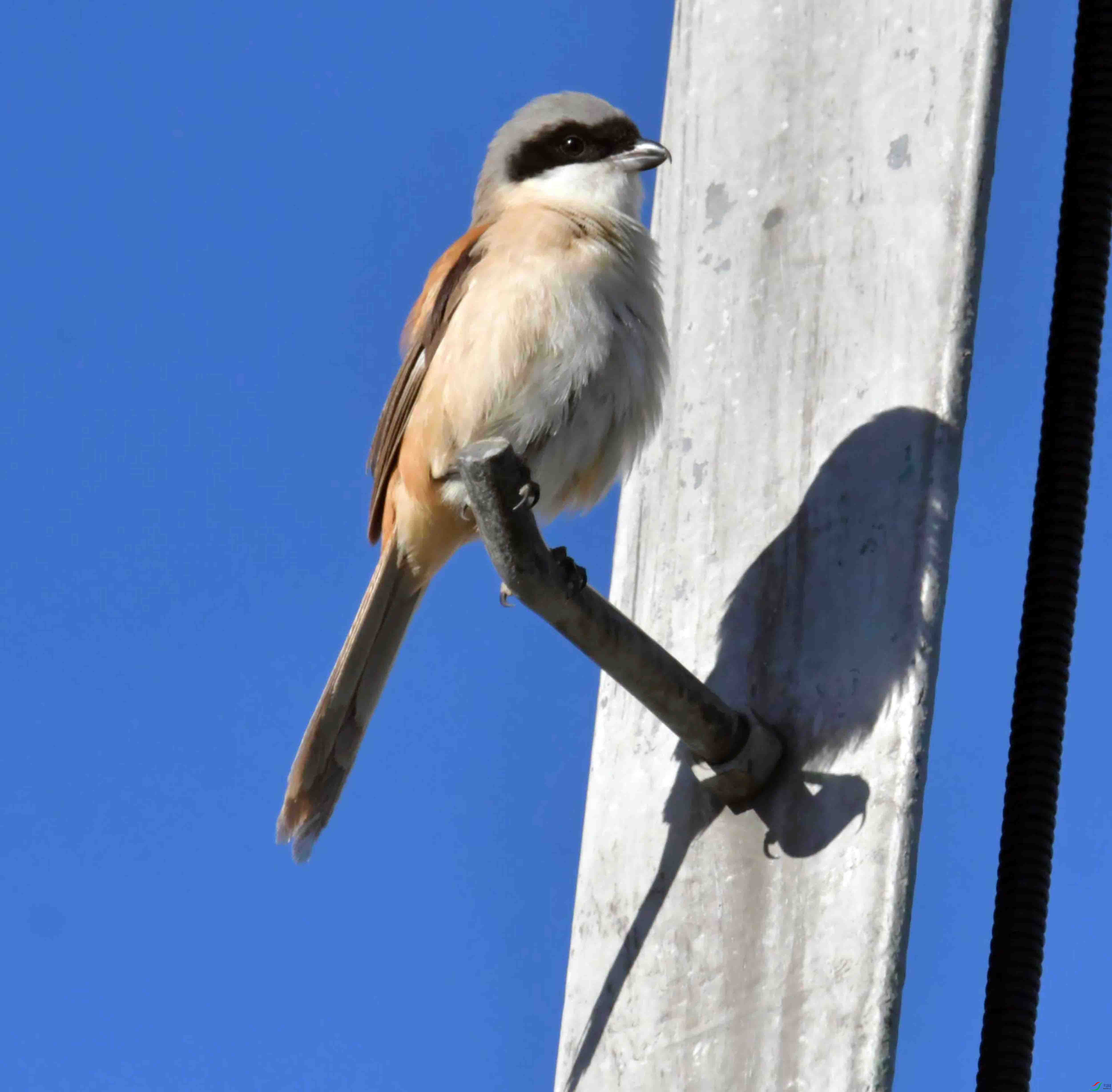 DSC_9303.JPG