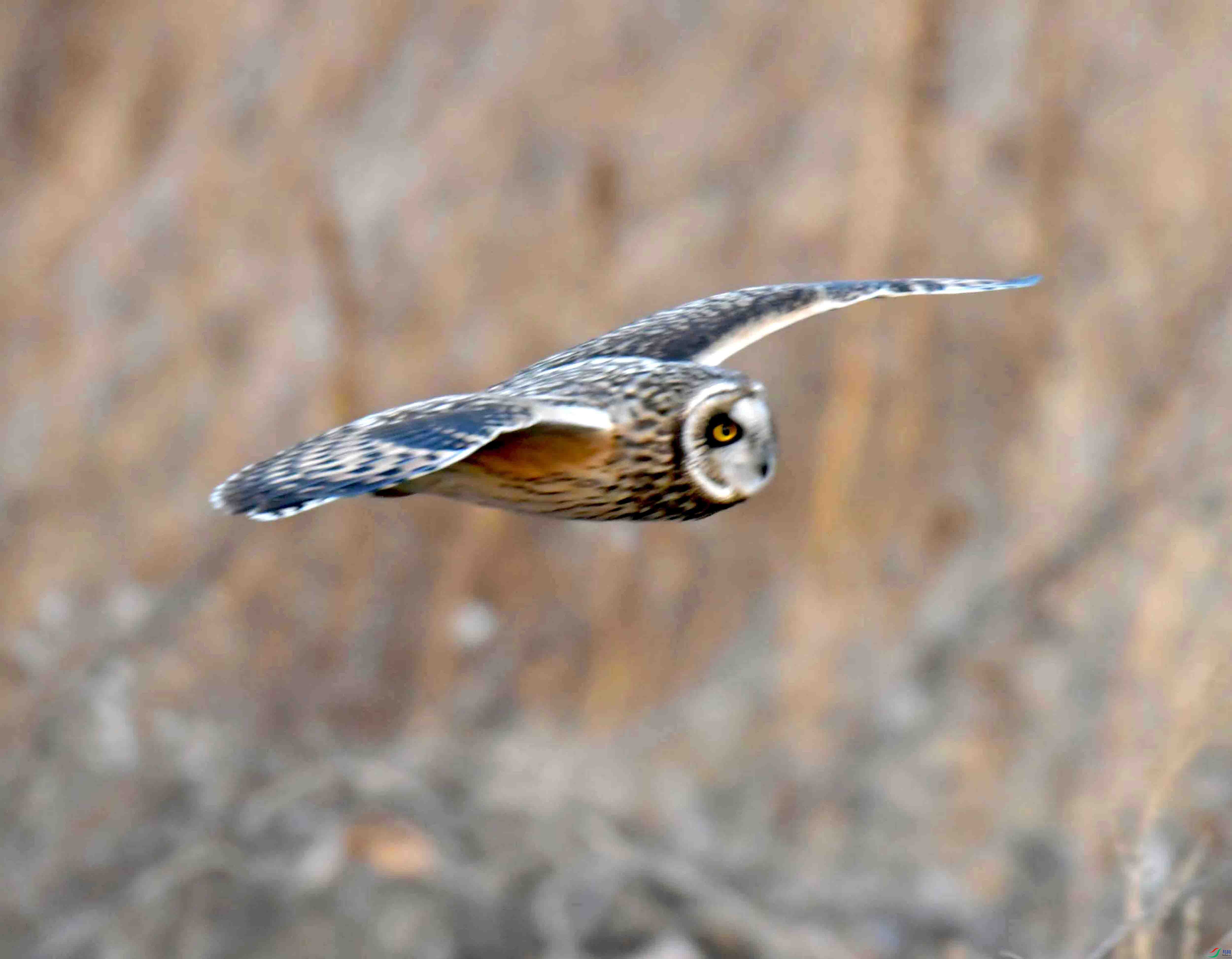 DSC_1018.JPG
