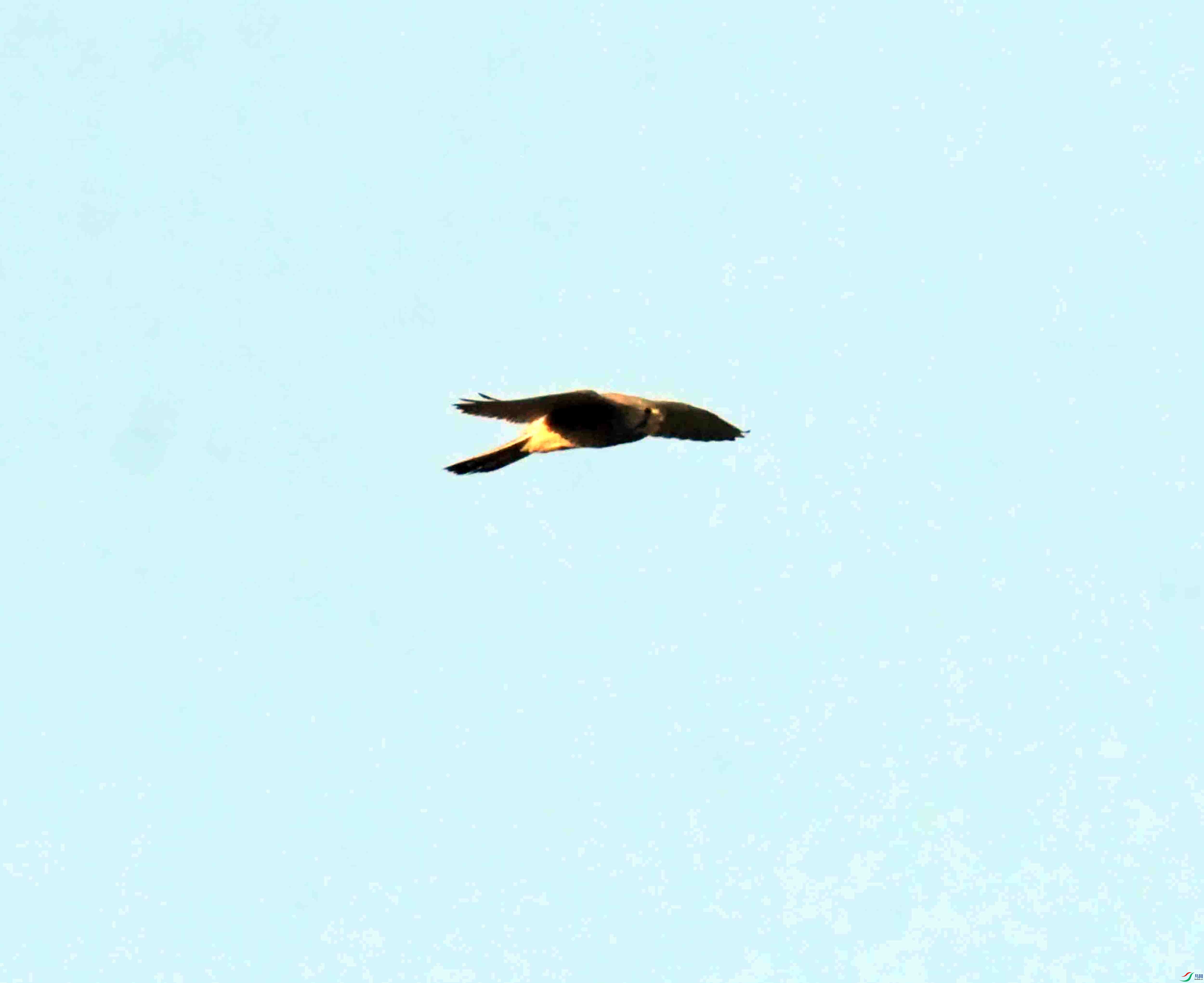 DSC_9311.JPG