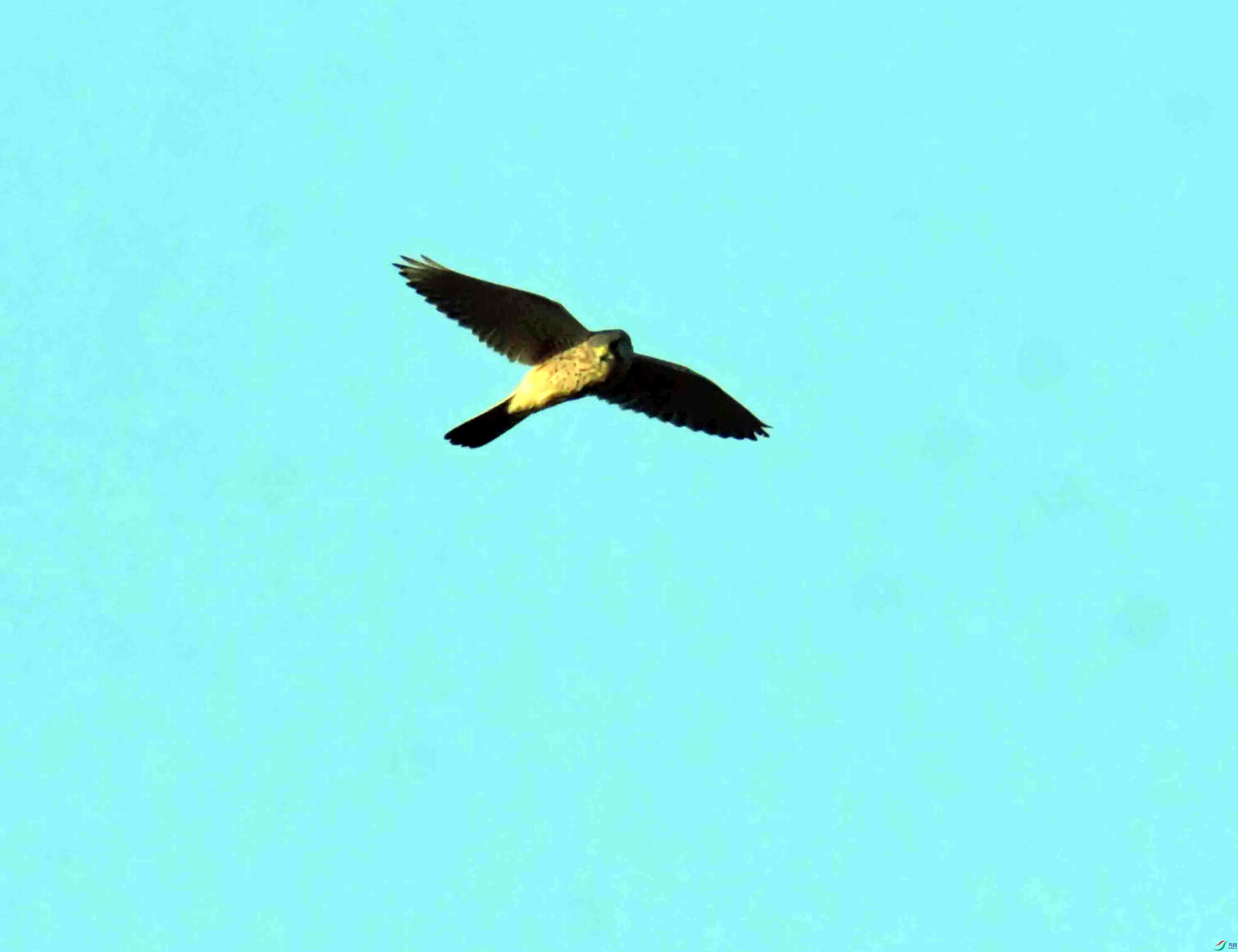 DSC_9314.JPG