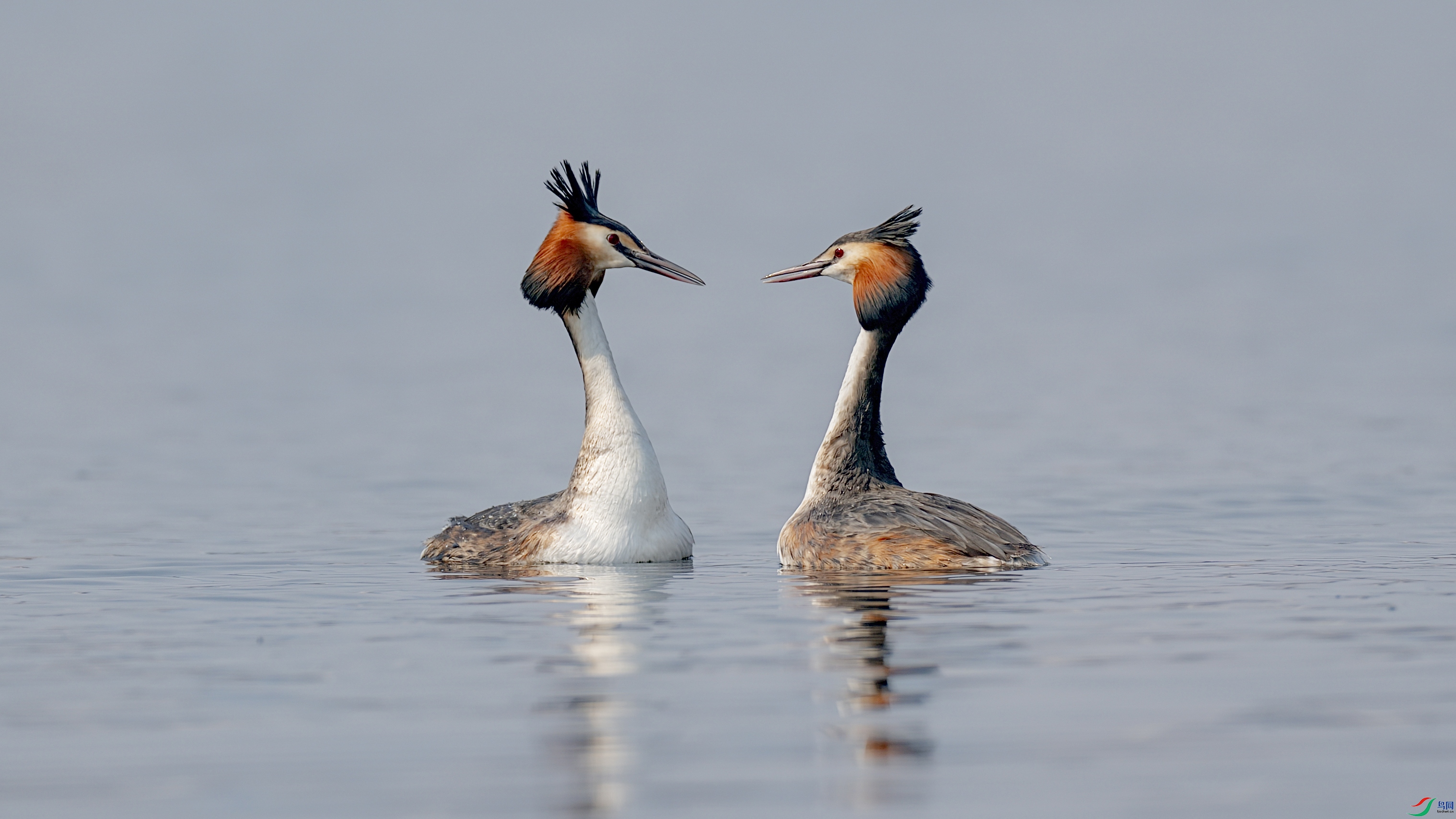 ABDSC07015 ����.jpg