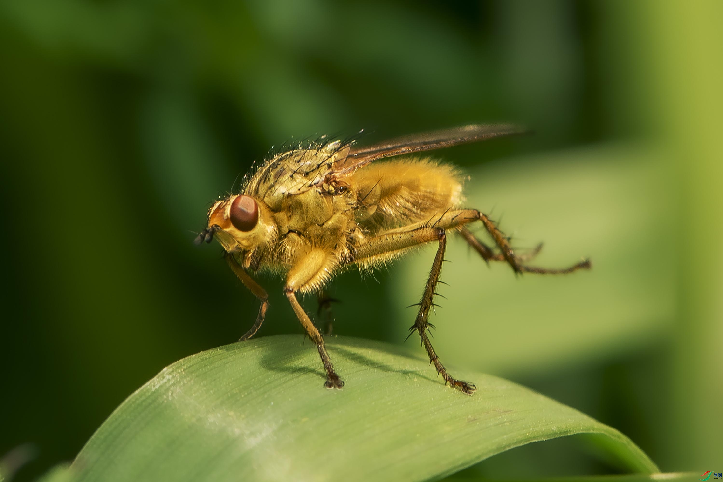 DSC_9203.jpg