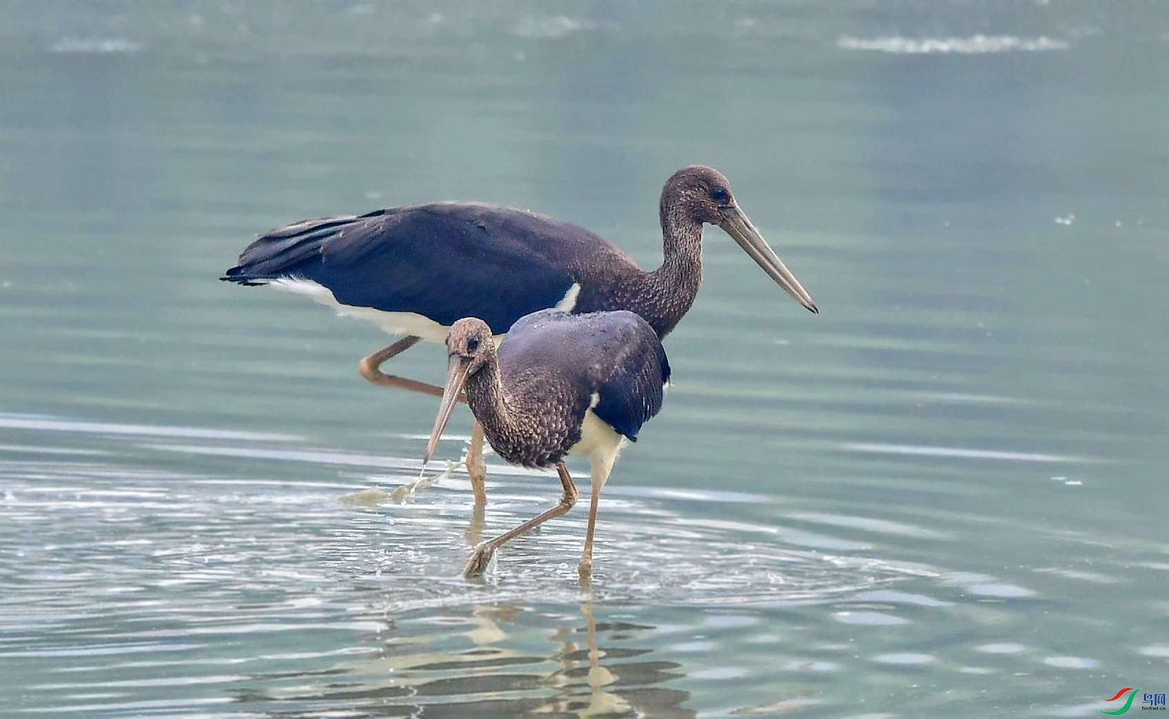 DSC_7675_conew3.jpg