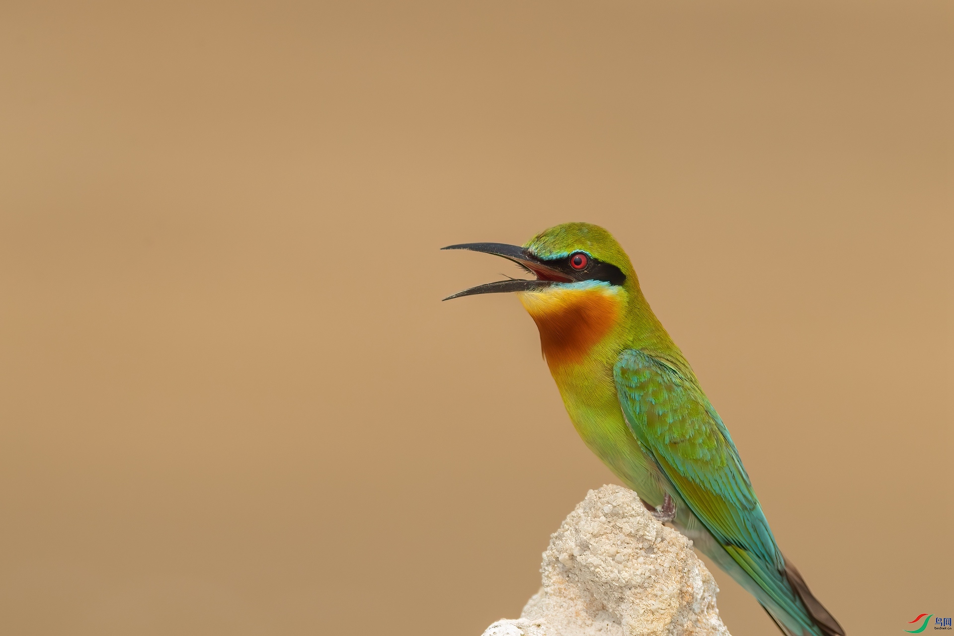 B86I7465 _����.jpg