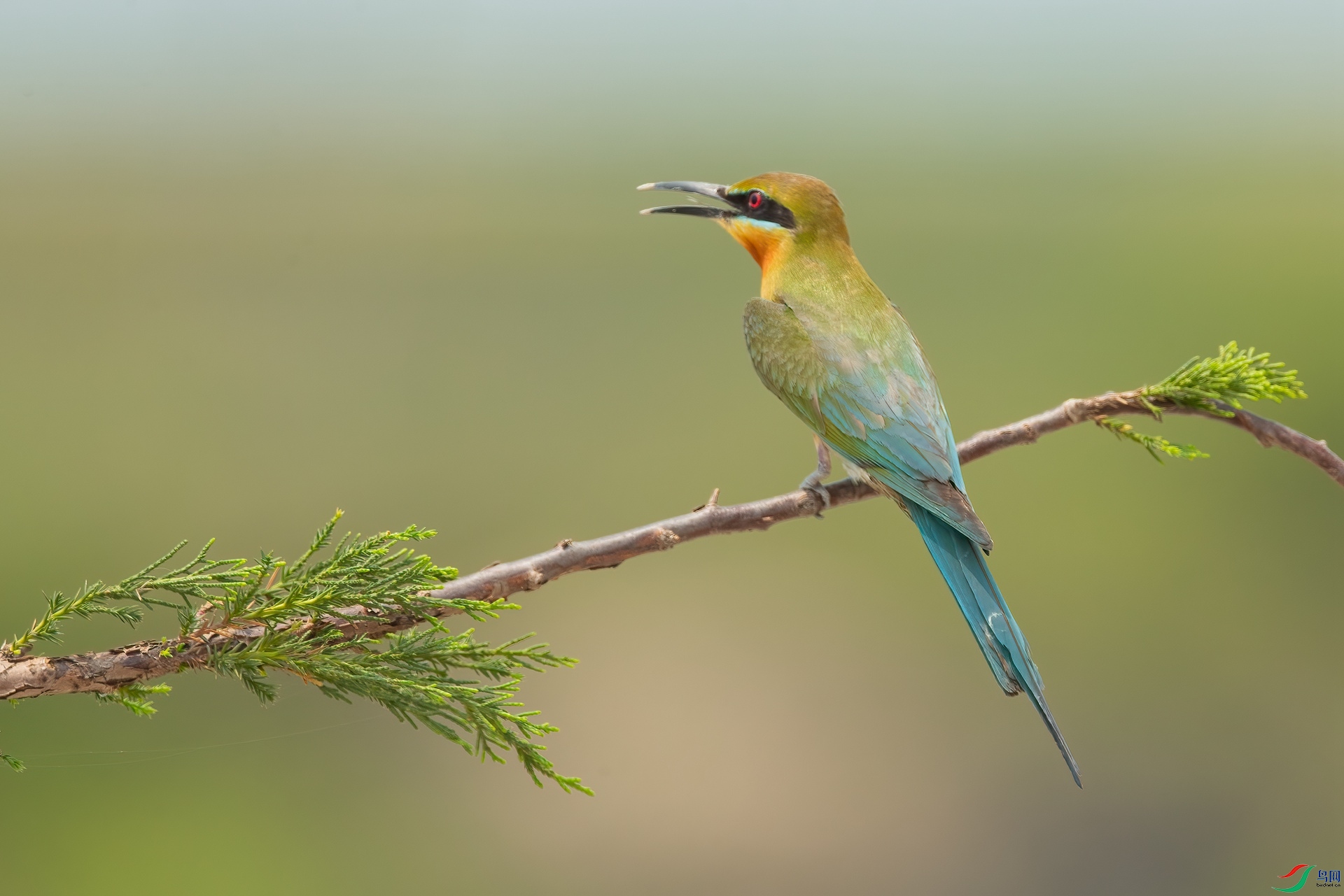 B86I7648 _����.jpg