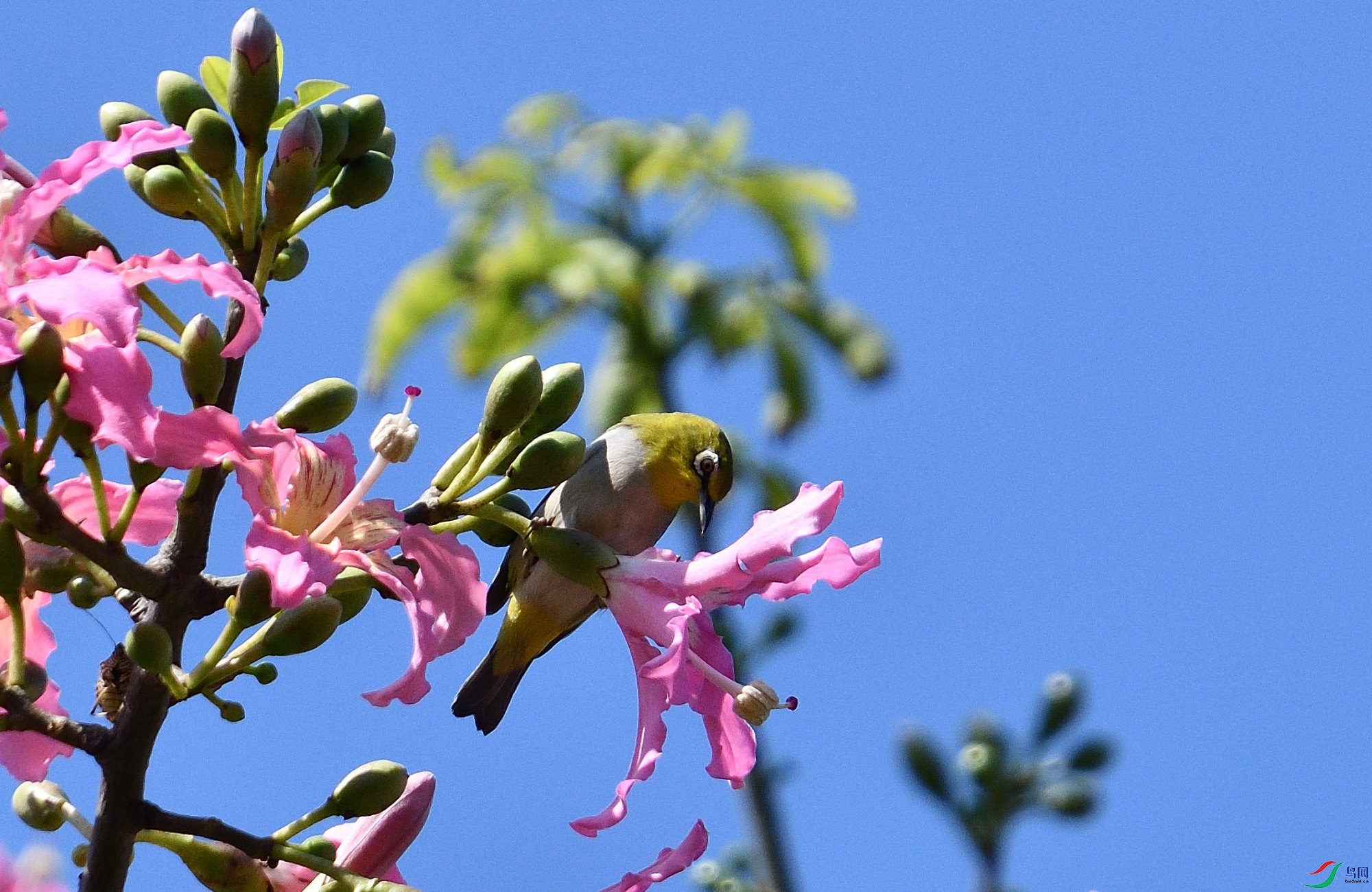 DSC_2818_306.JPG