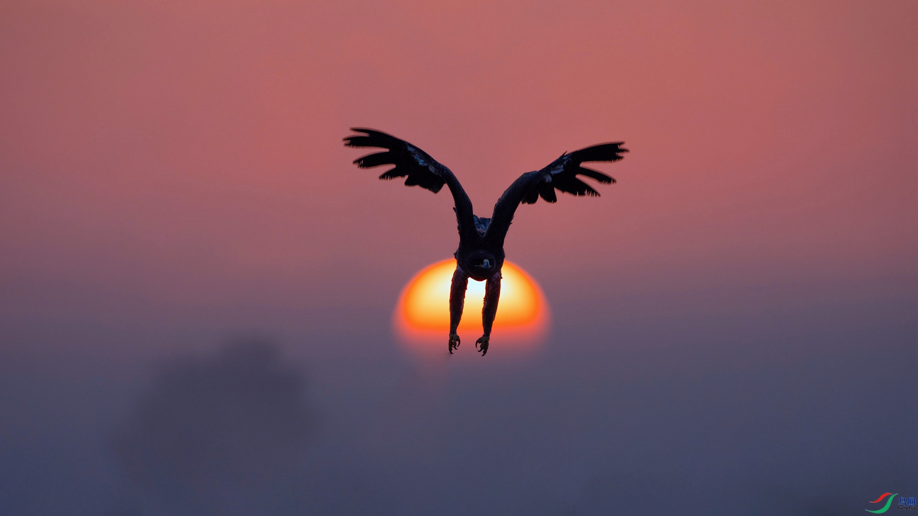 DSC00146 ����_����_���� ����_����.jpg