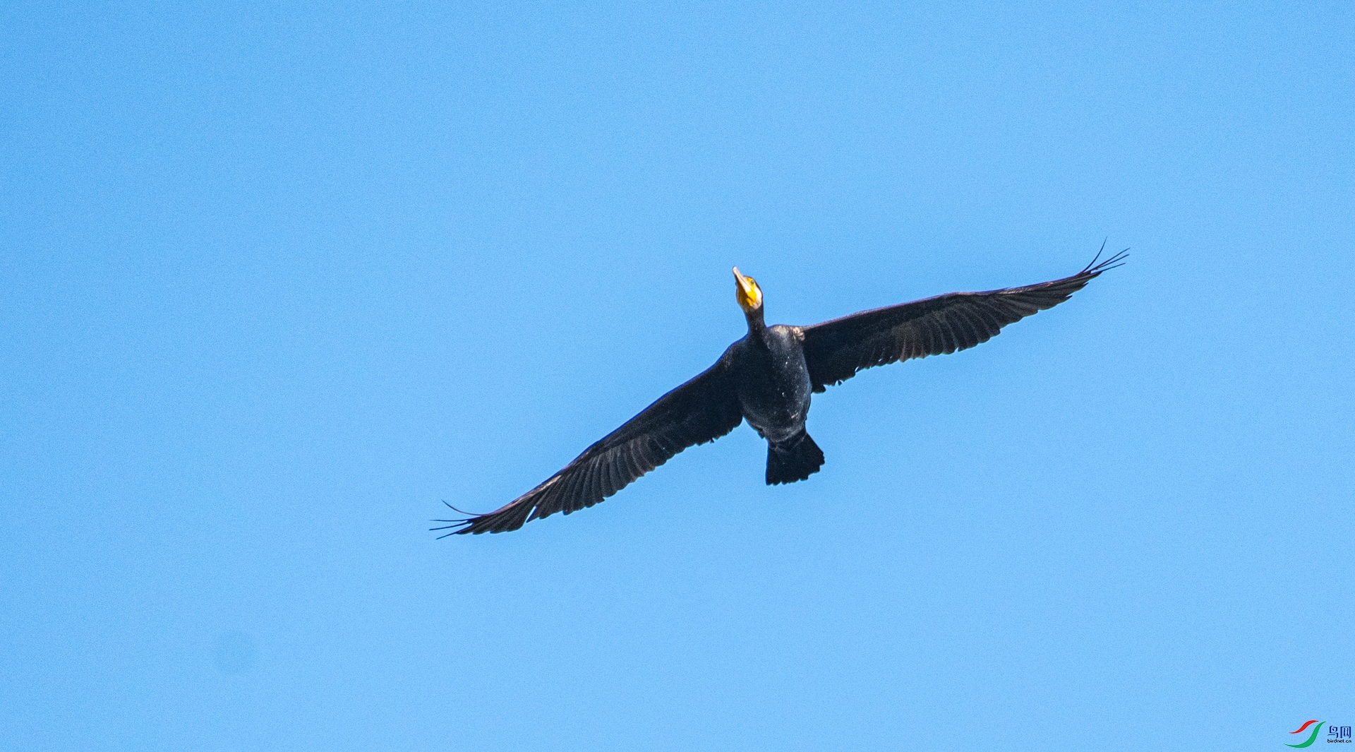 DSC_6826.jpg