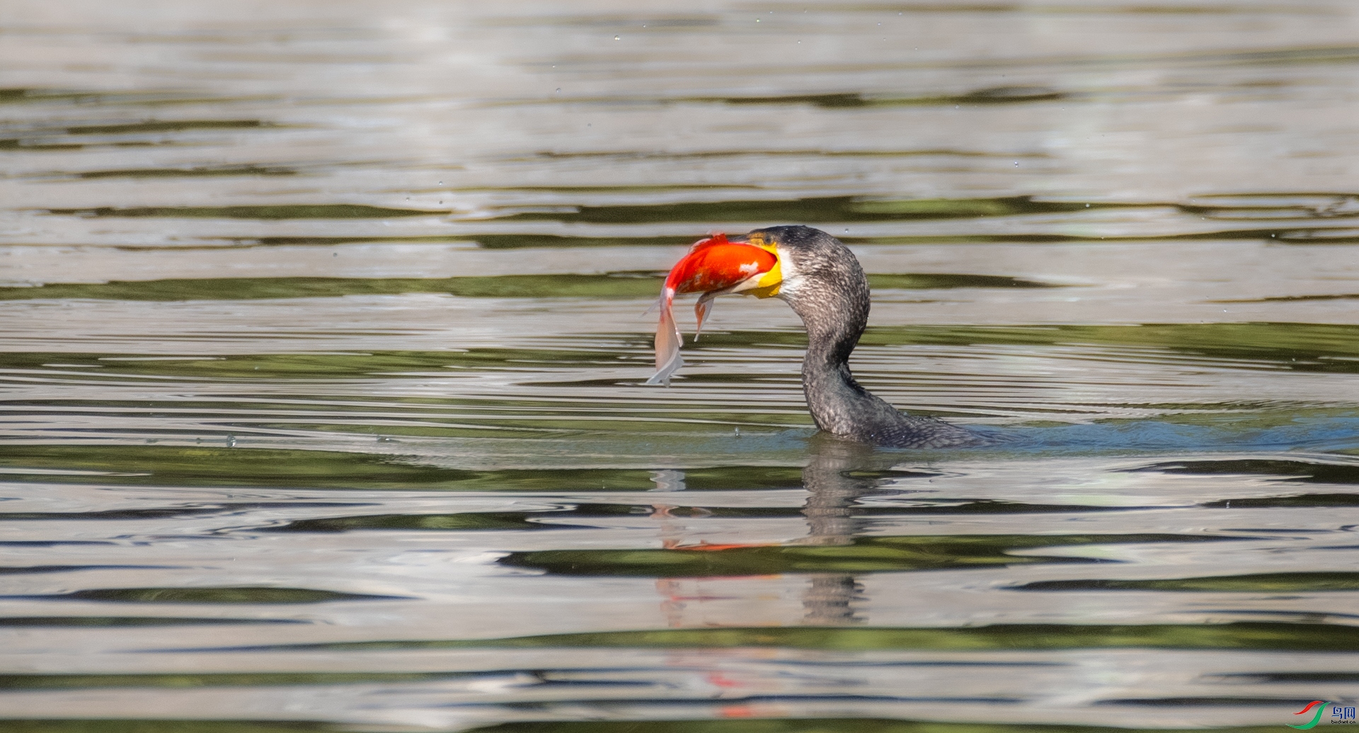 DSC_6849.jpg