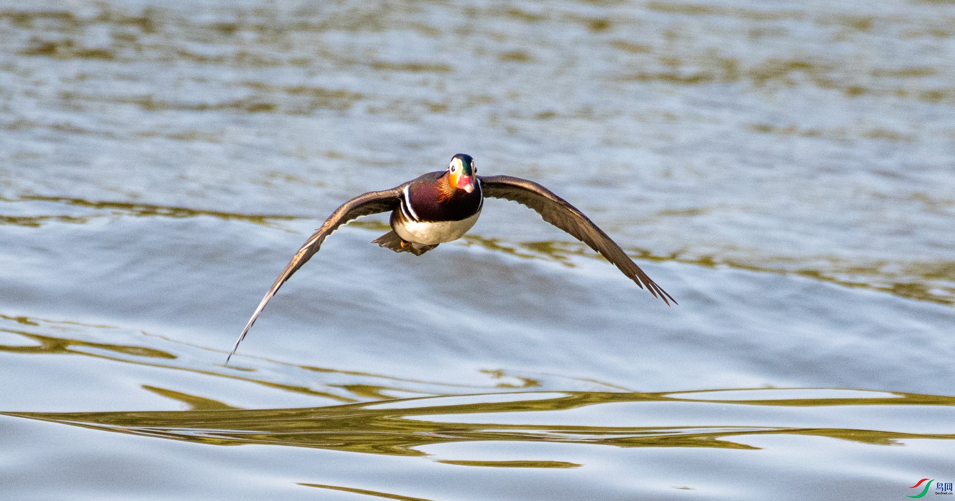 DSC_6989.jpg