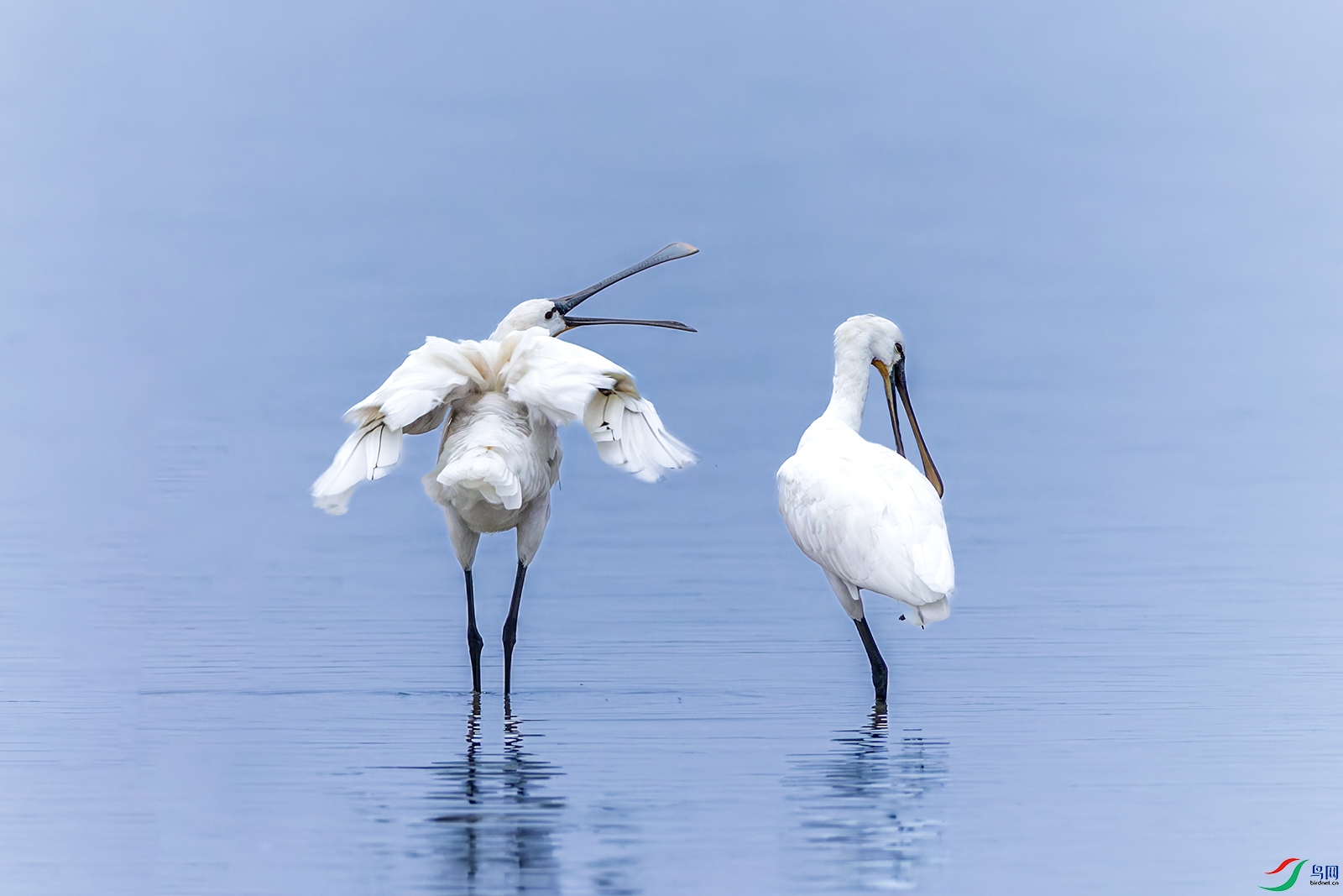 hnxyR221118 (210)_DxO.jpg