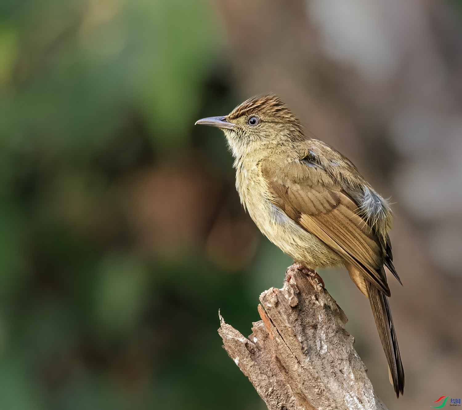 BJ1R3614-2.jpg