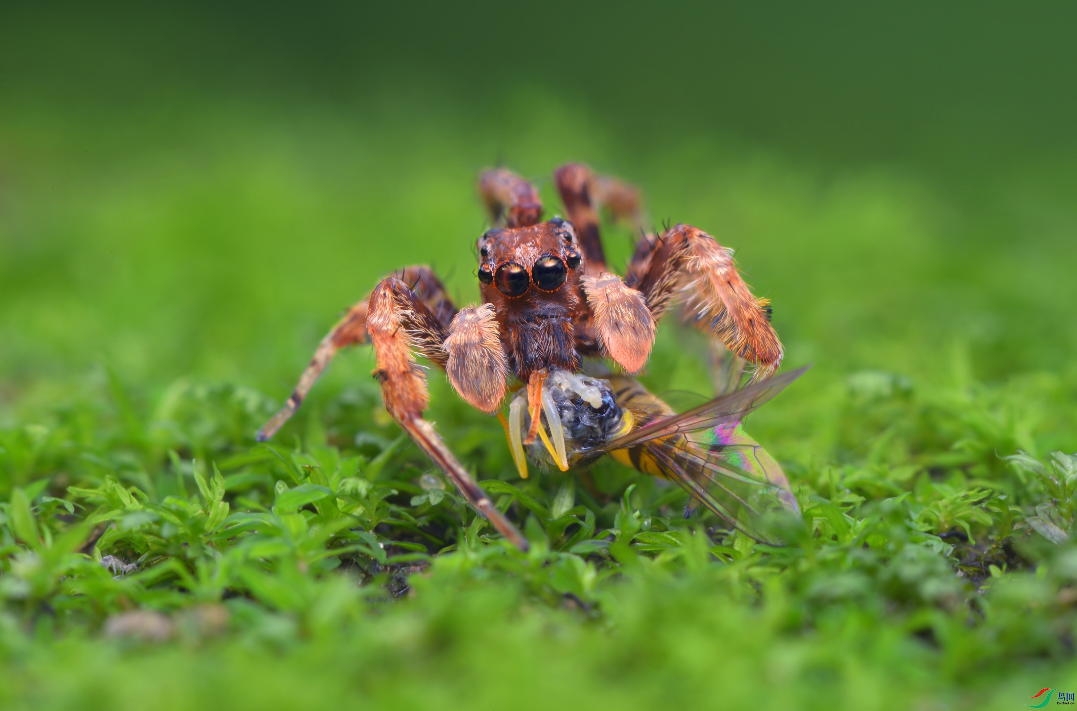 DSC_9125 ����.jpg