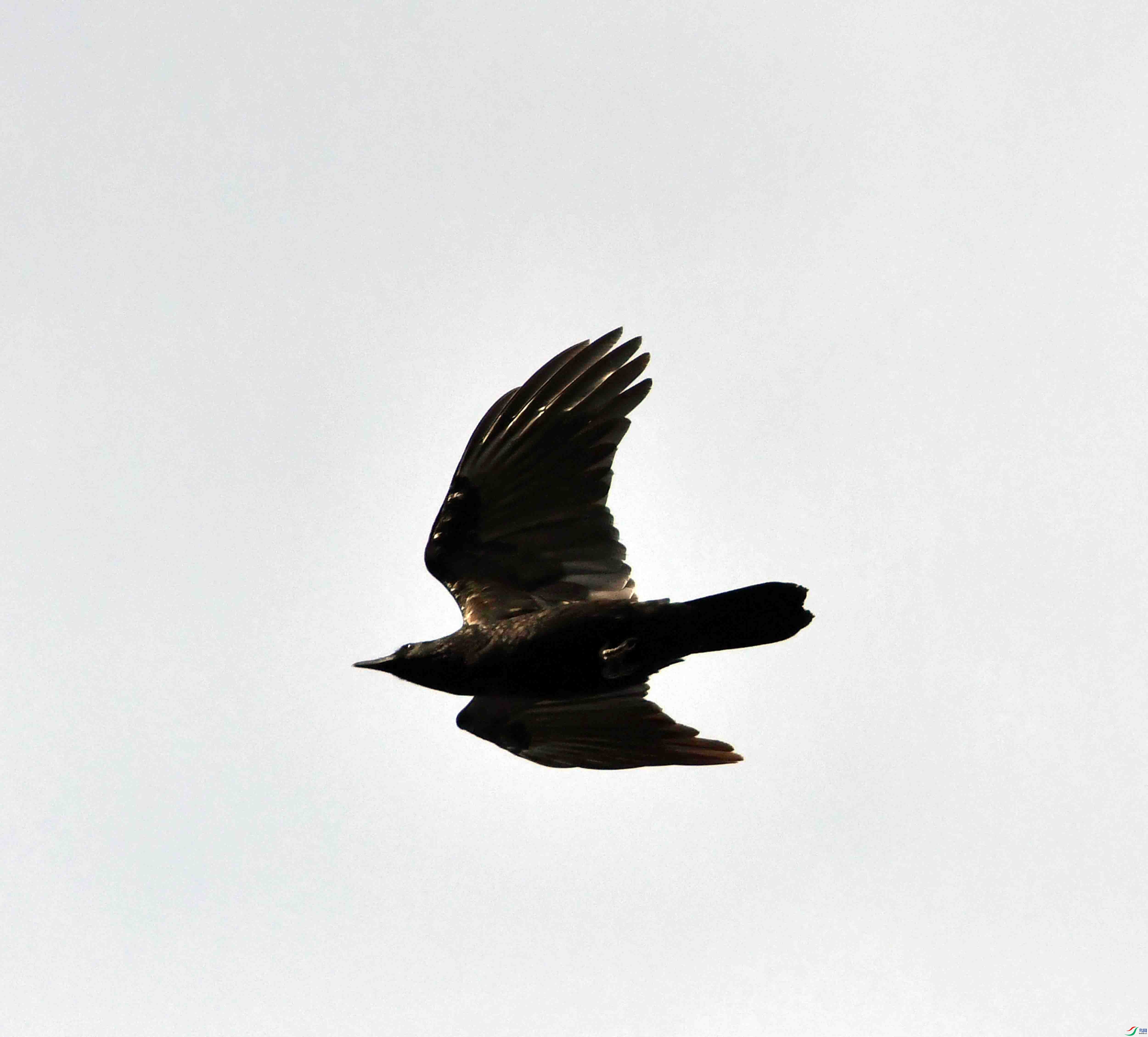 DSC_0792.JPG