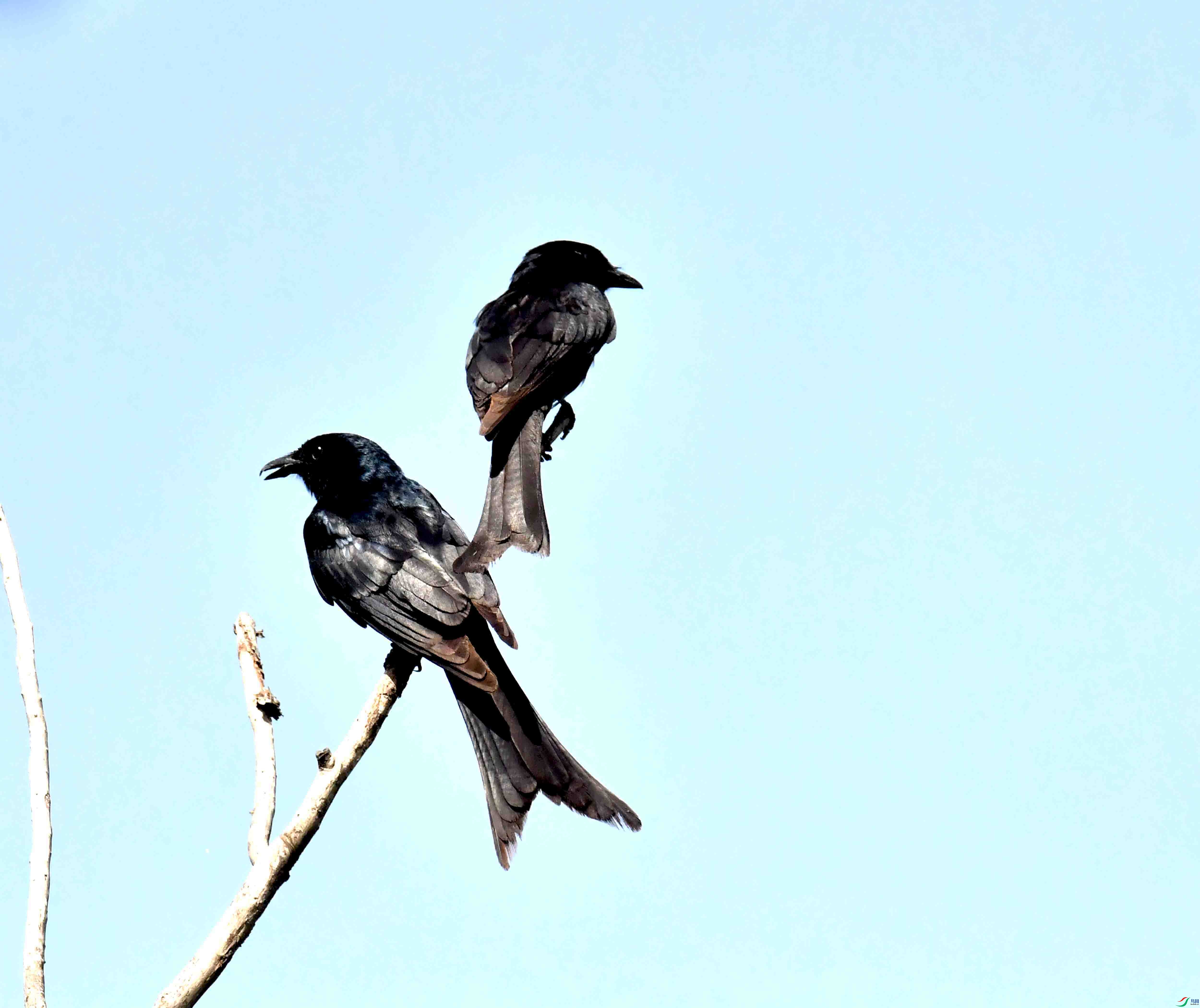 DSC_5415.JPG