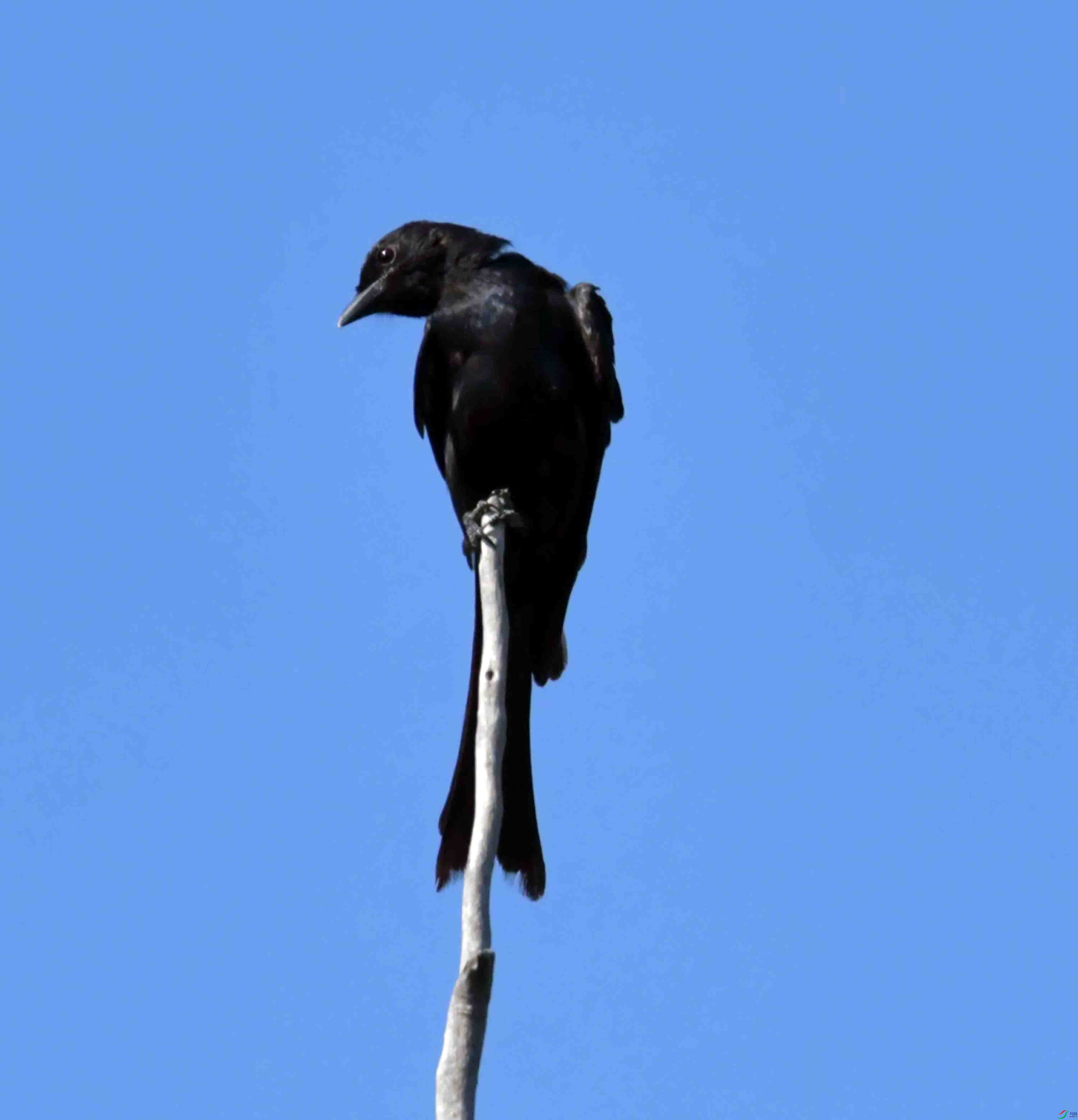 DSC_8677.JPG