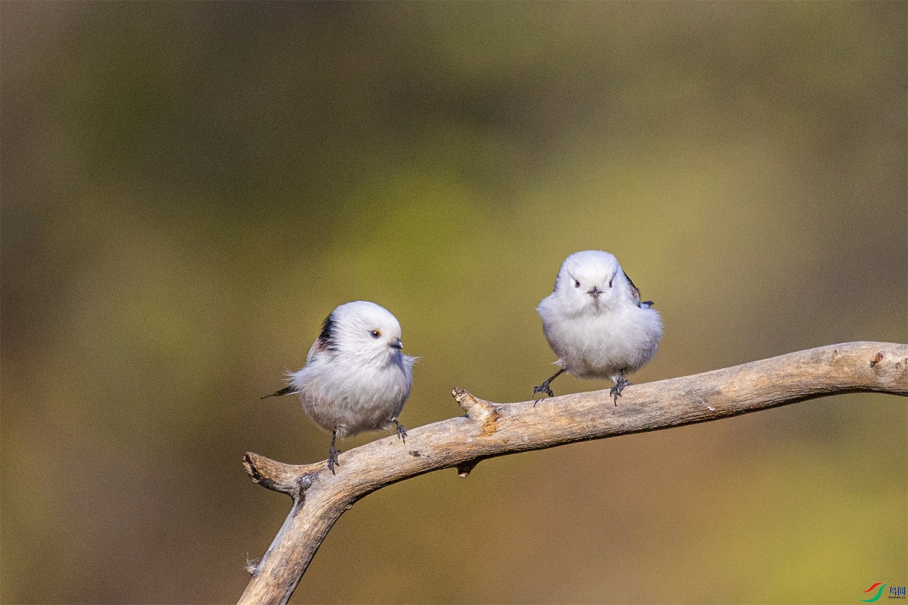 1K3A6878 ����1.jpg