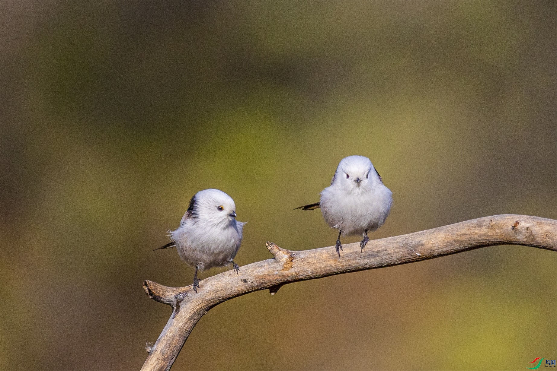 1K3A6879 ����1.jpg