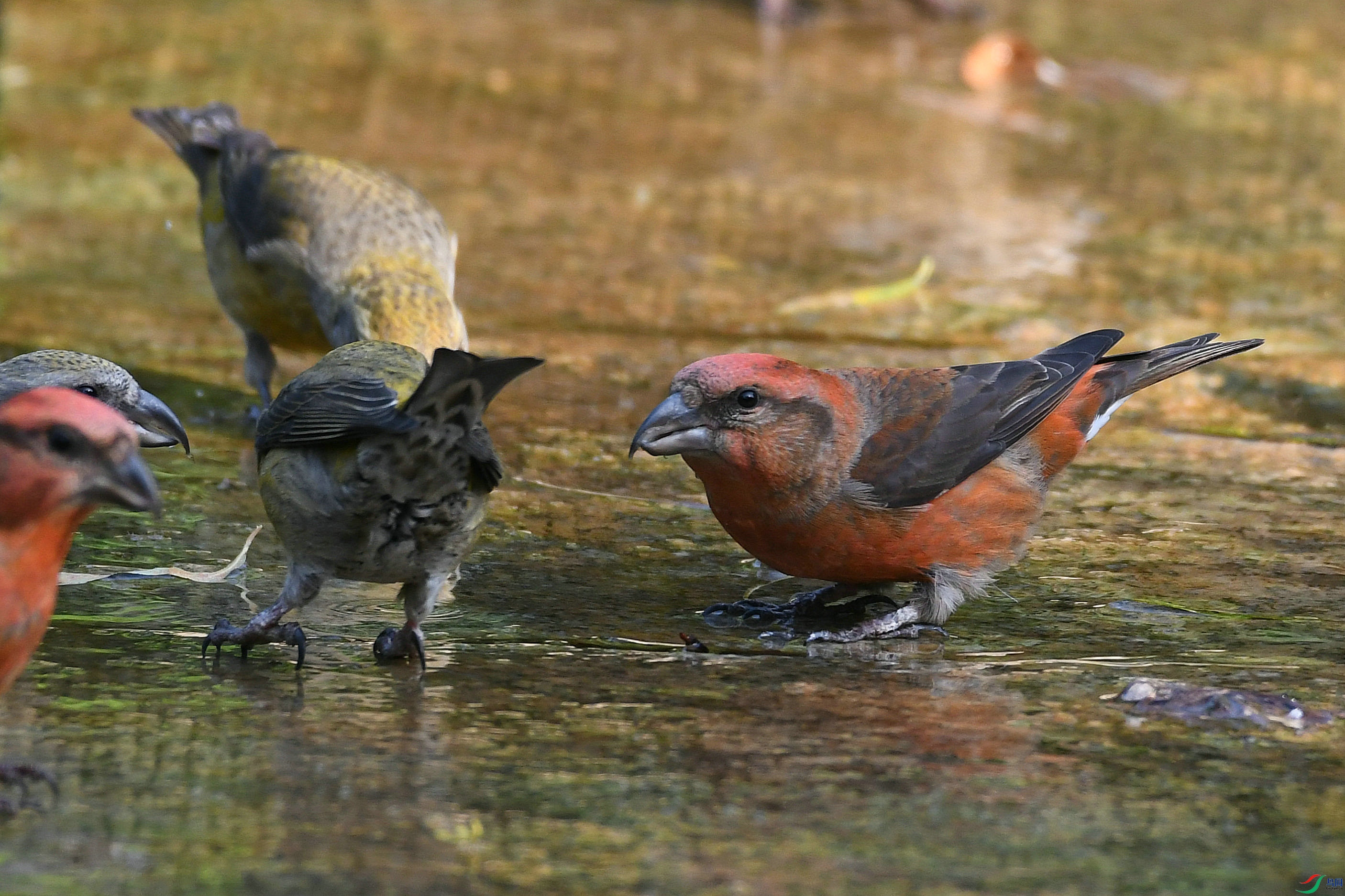 DSC_5941.JPG