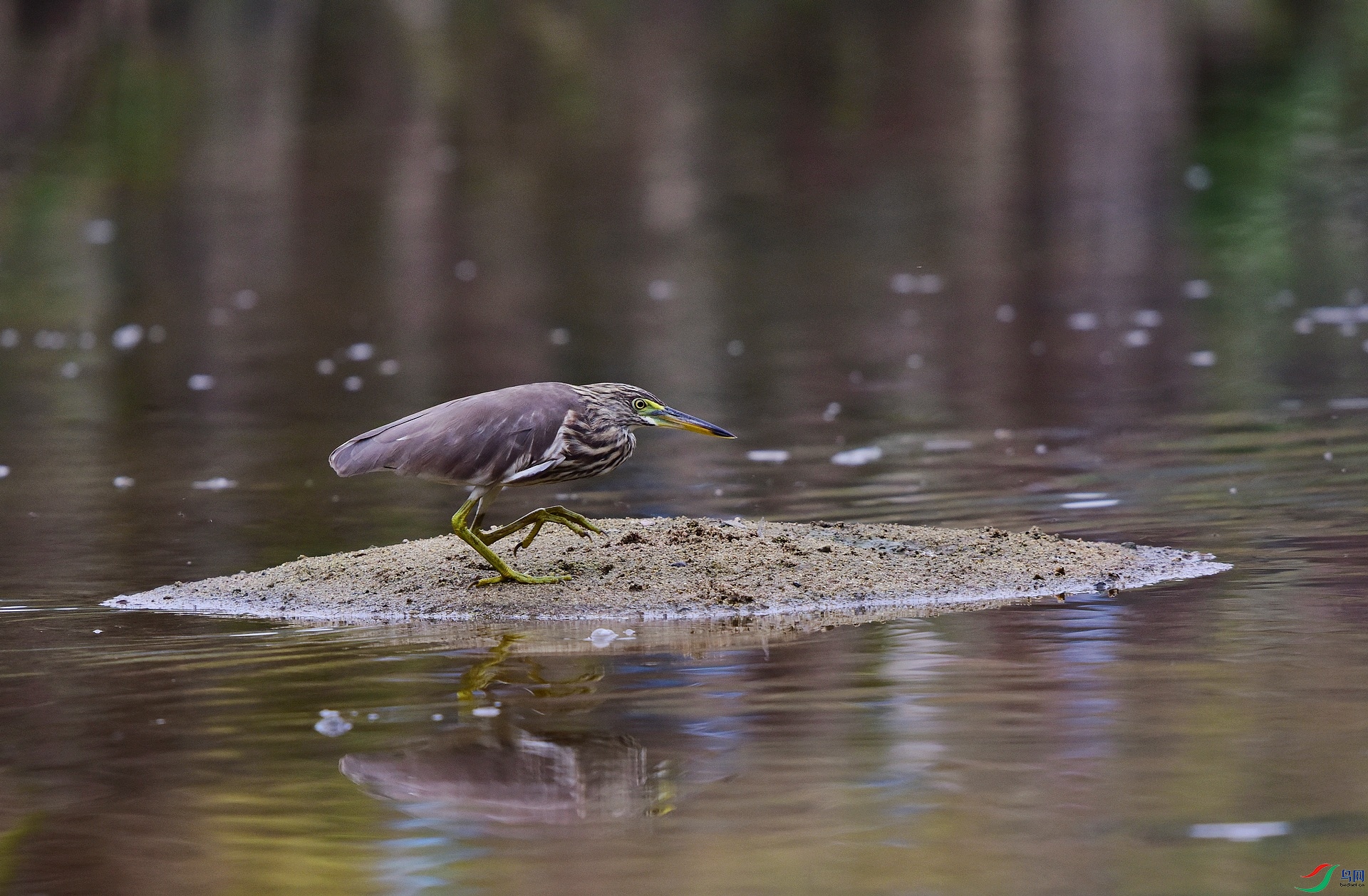 D8I_0717.jpg