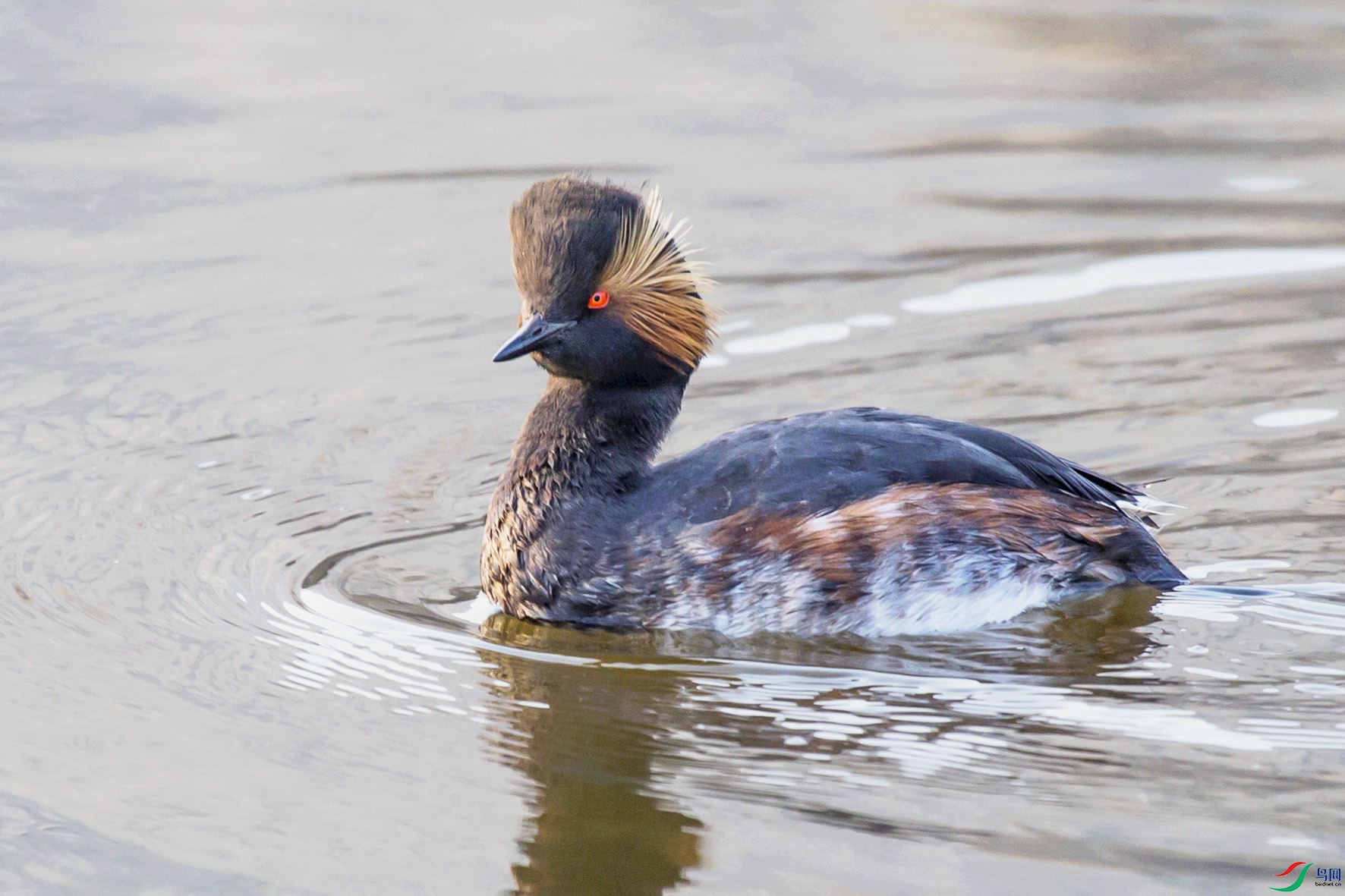 _MG_7283 ���� 2.jpg