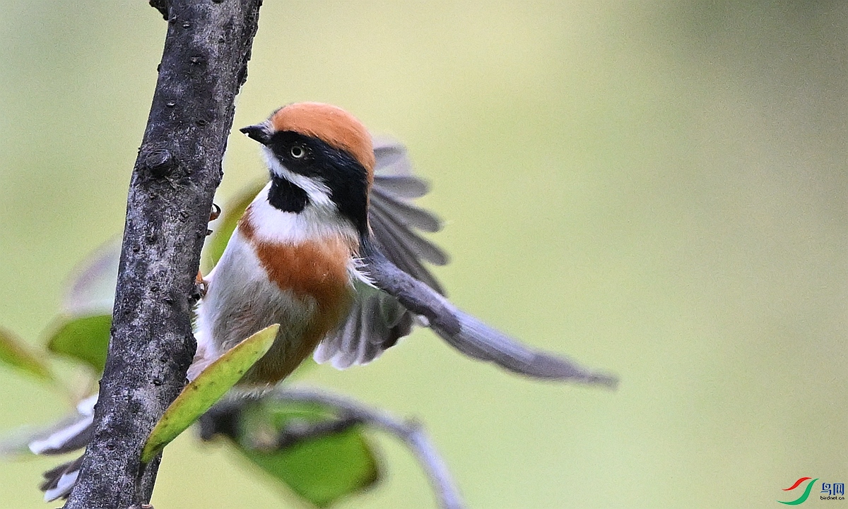 DSC_7961.JPG