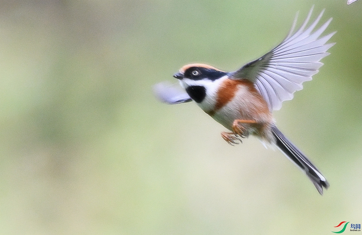 DSC_7965.JPG