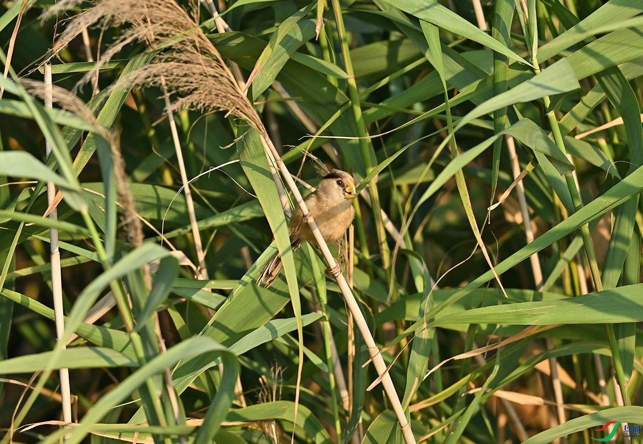 DSC_1451����ȸ.jpg