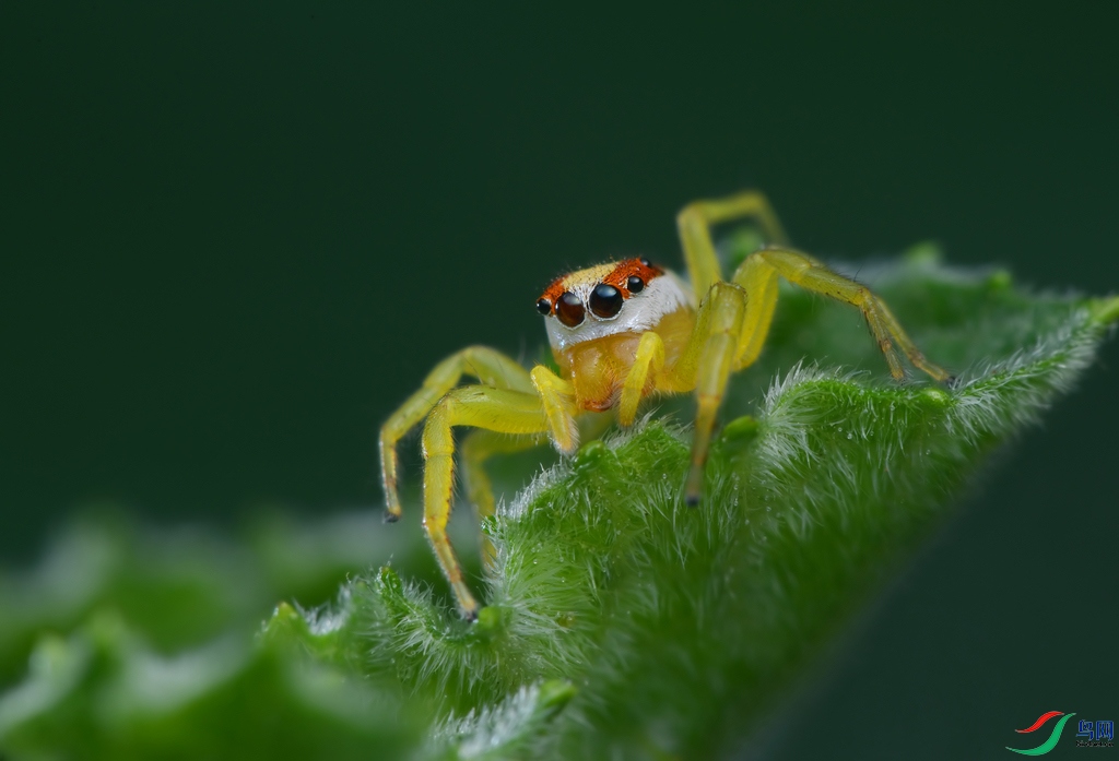 DSC_5887 ����.jpg