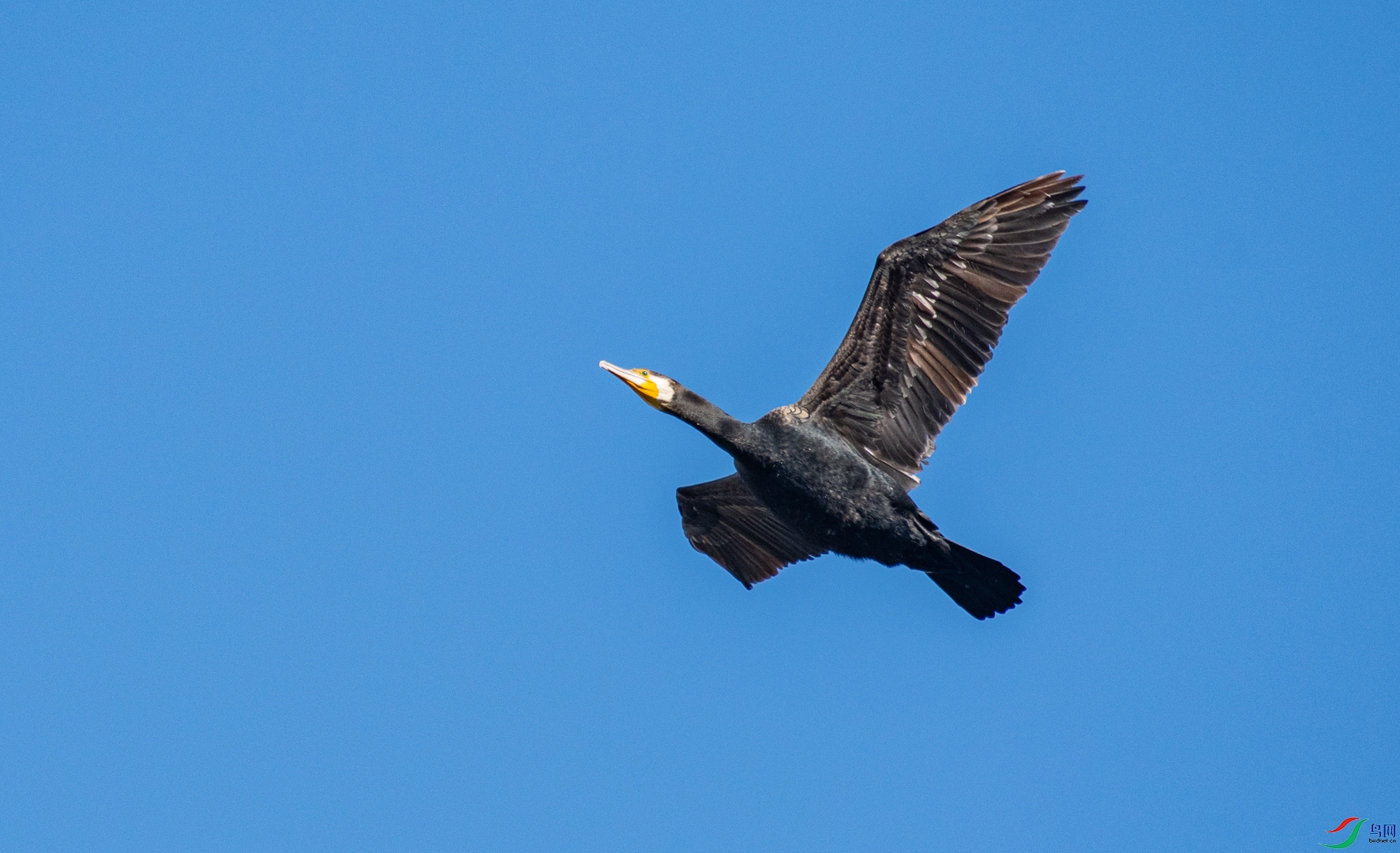 DSC_6838.jpg