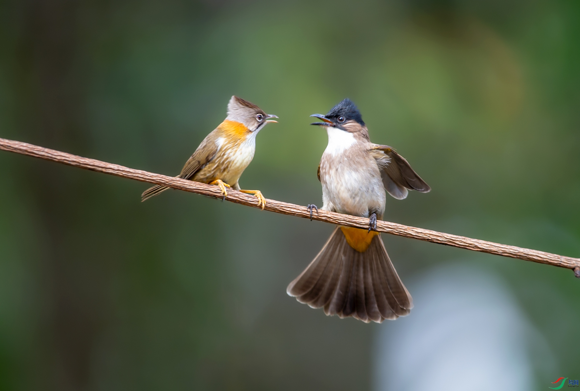 DSC_7767-1.jpg