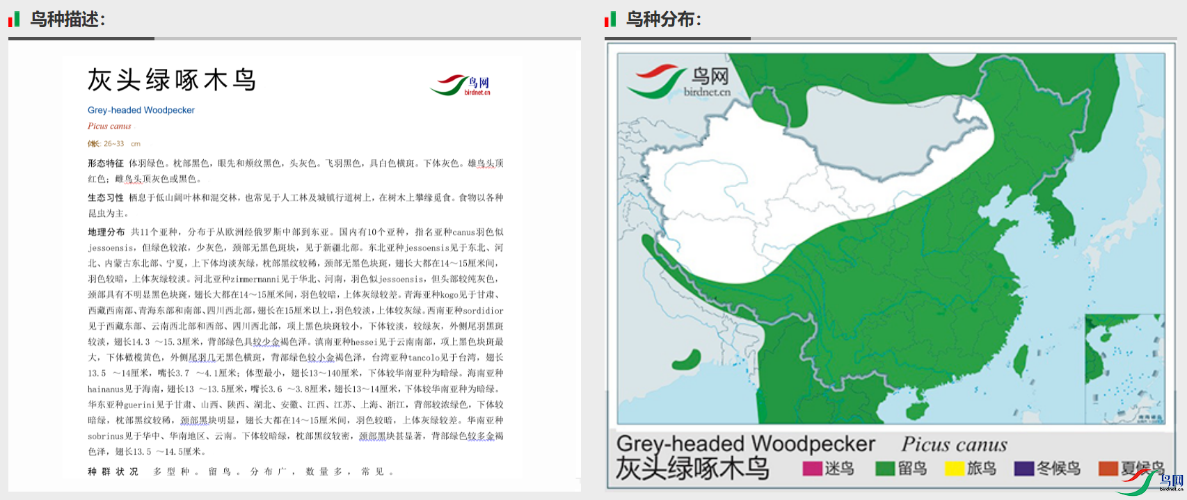 695b6171170db34a5898d771cbc09dc.png