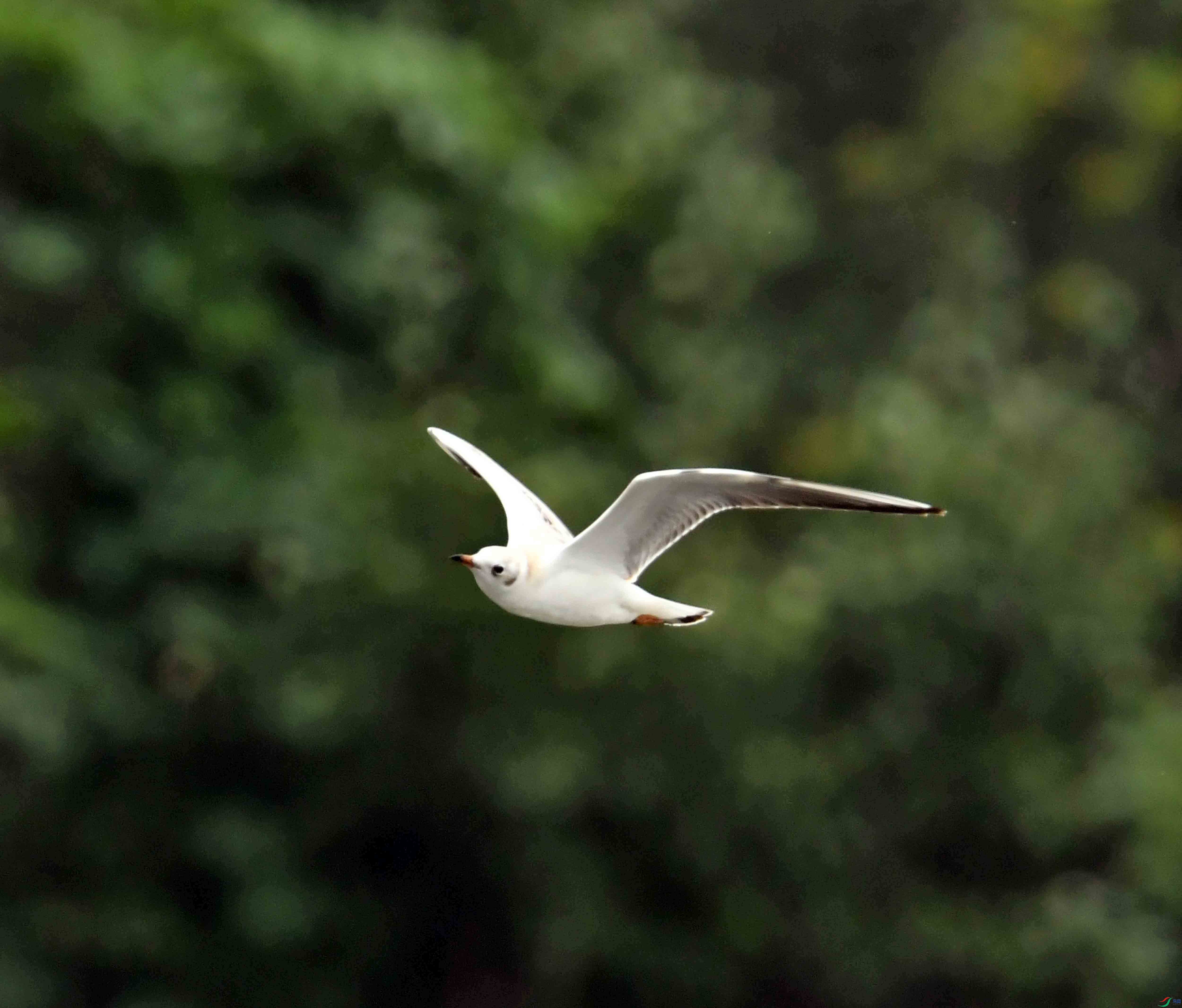 DSC_6856.JPG