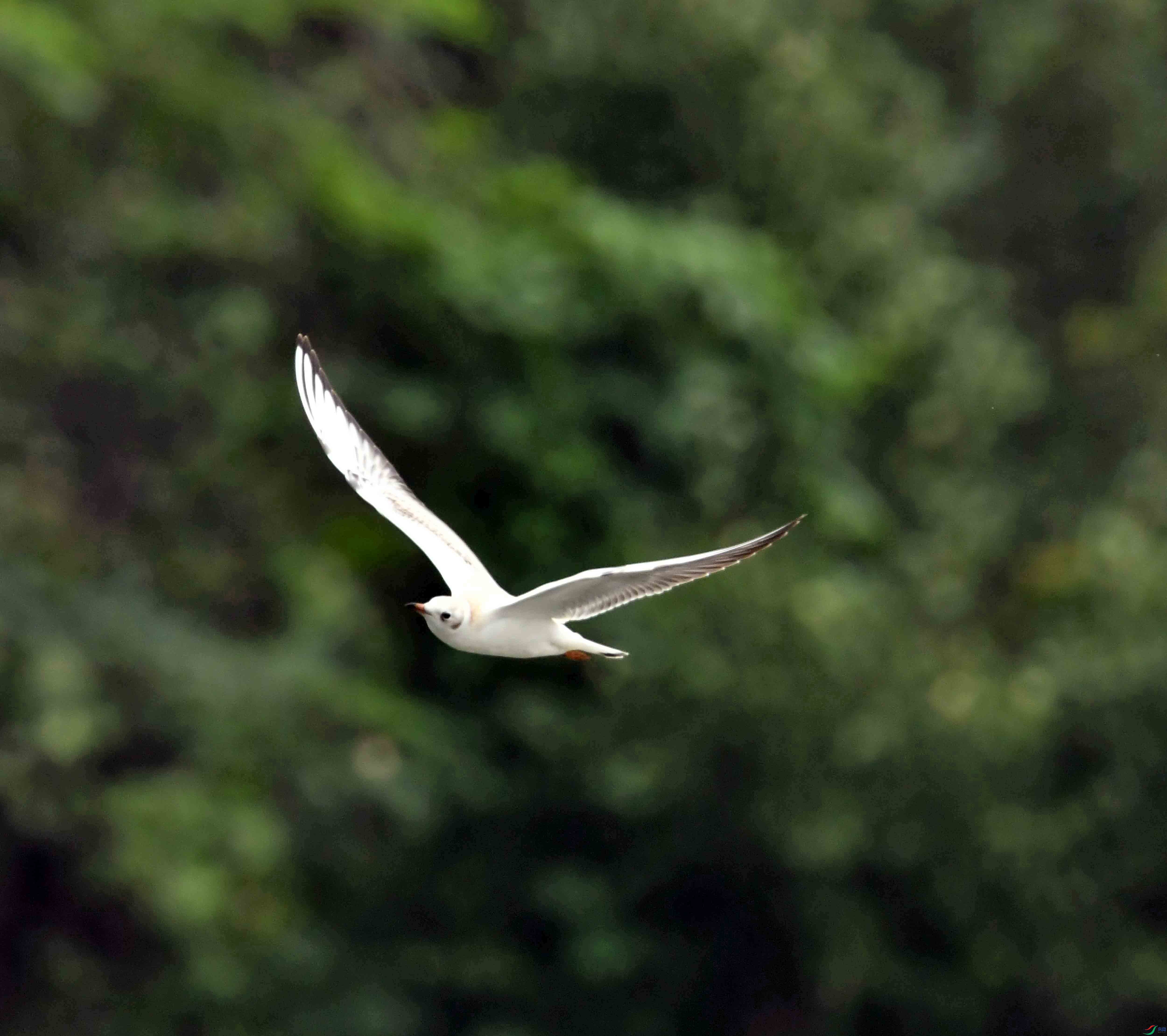 DSC_6857.JPG