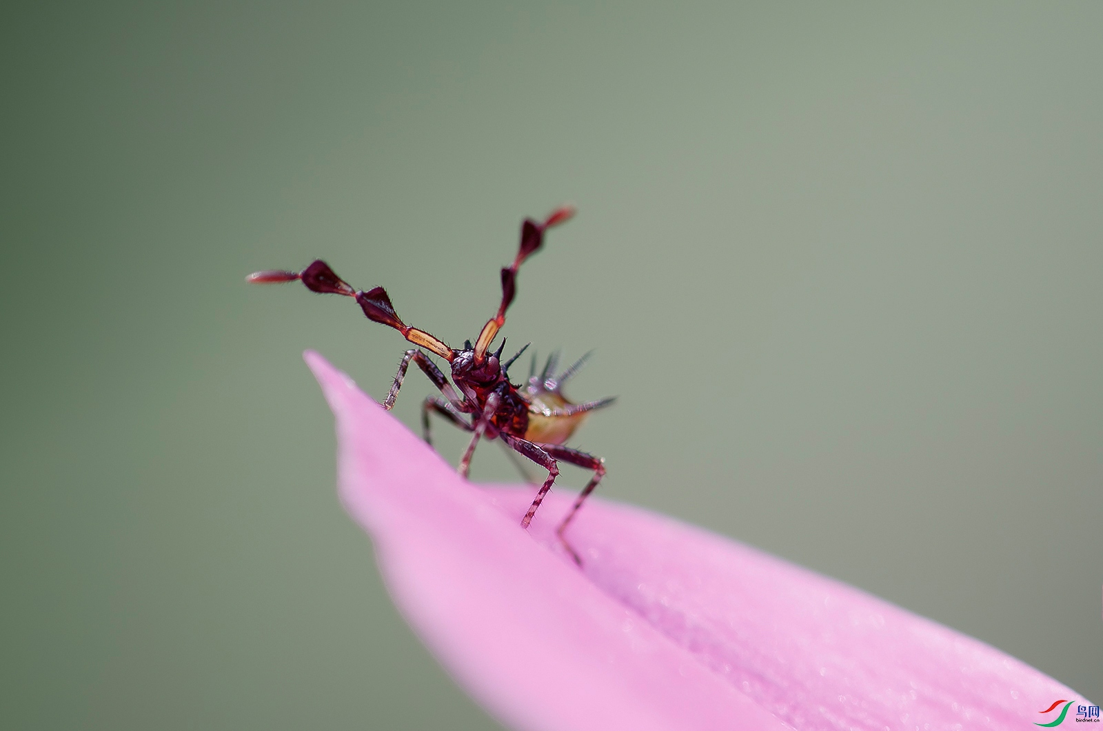 1975 ���� 2.jpg