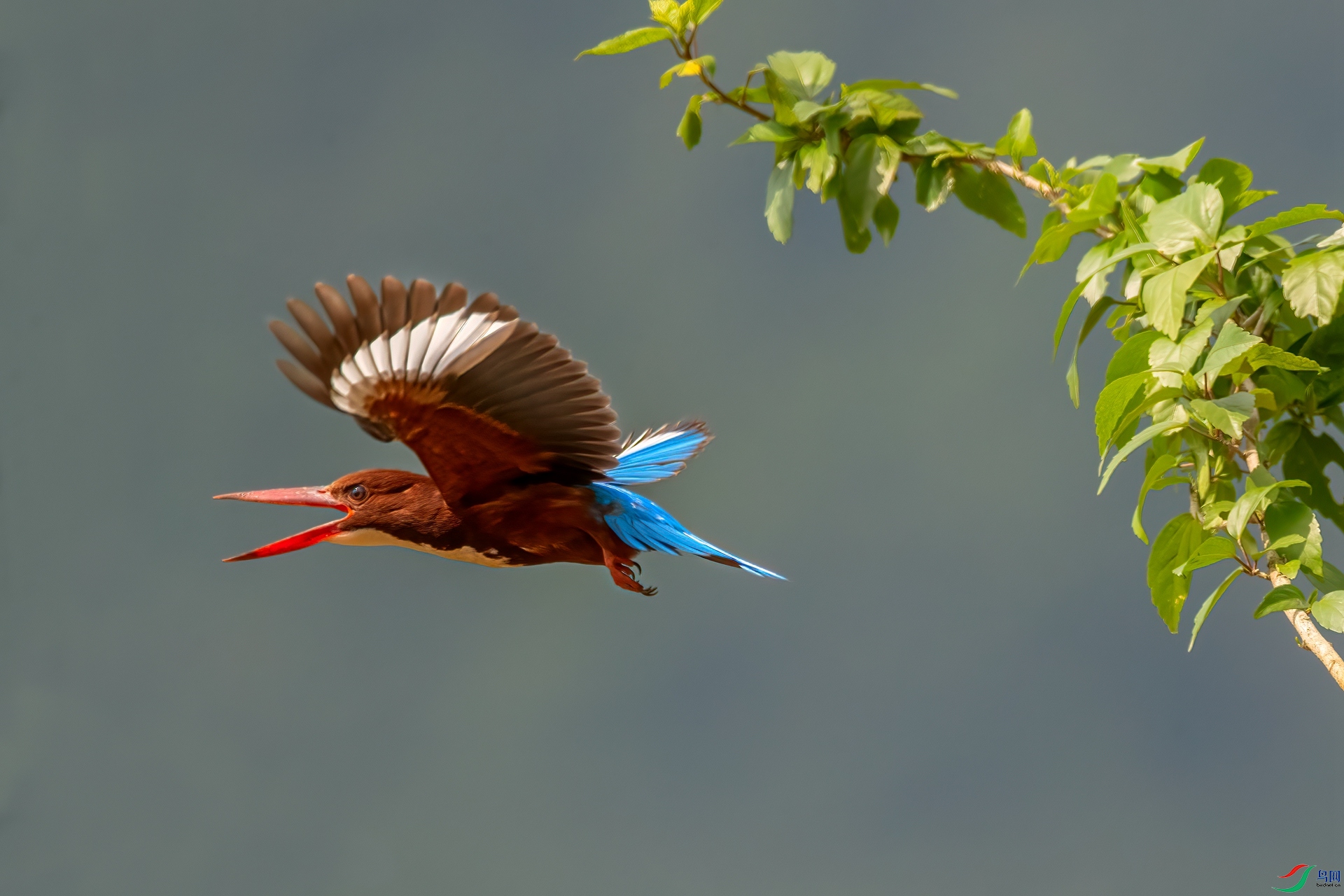 B86I5830 _����.jpg