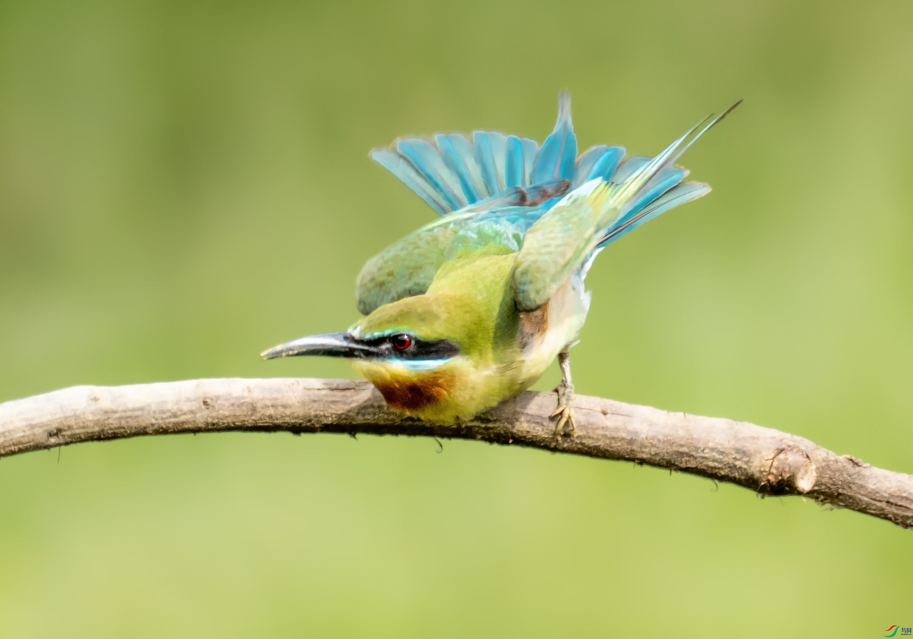 P5150424 --�仢--00.jpg