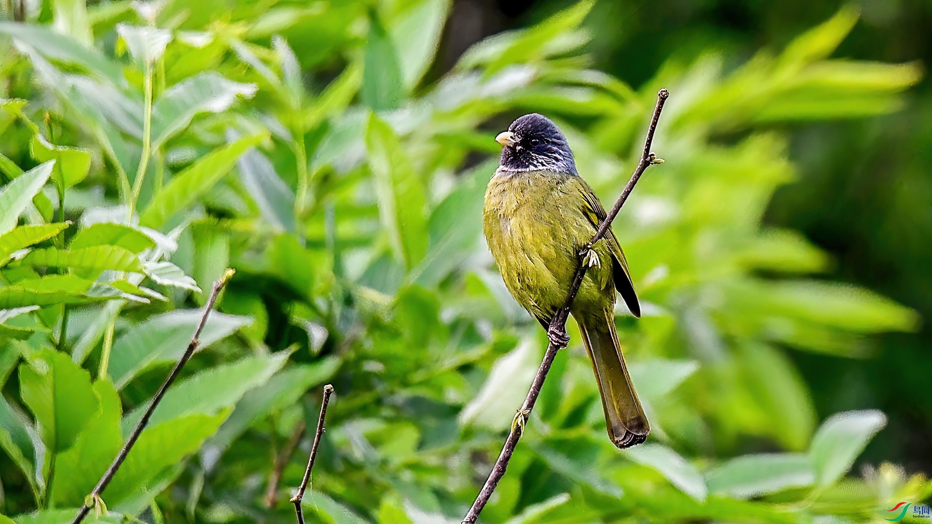 DSC_4706 ����-.jpg