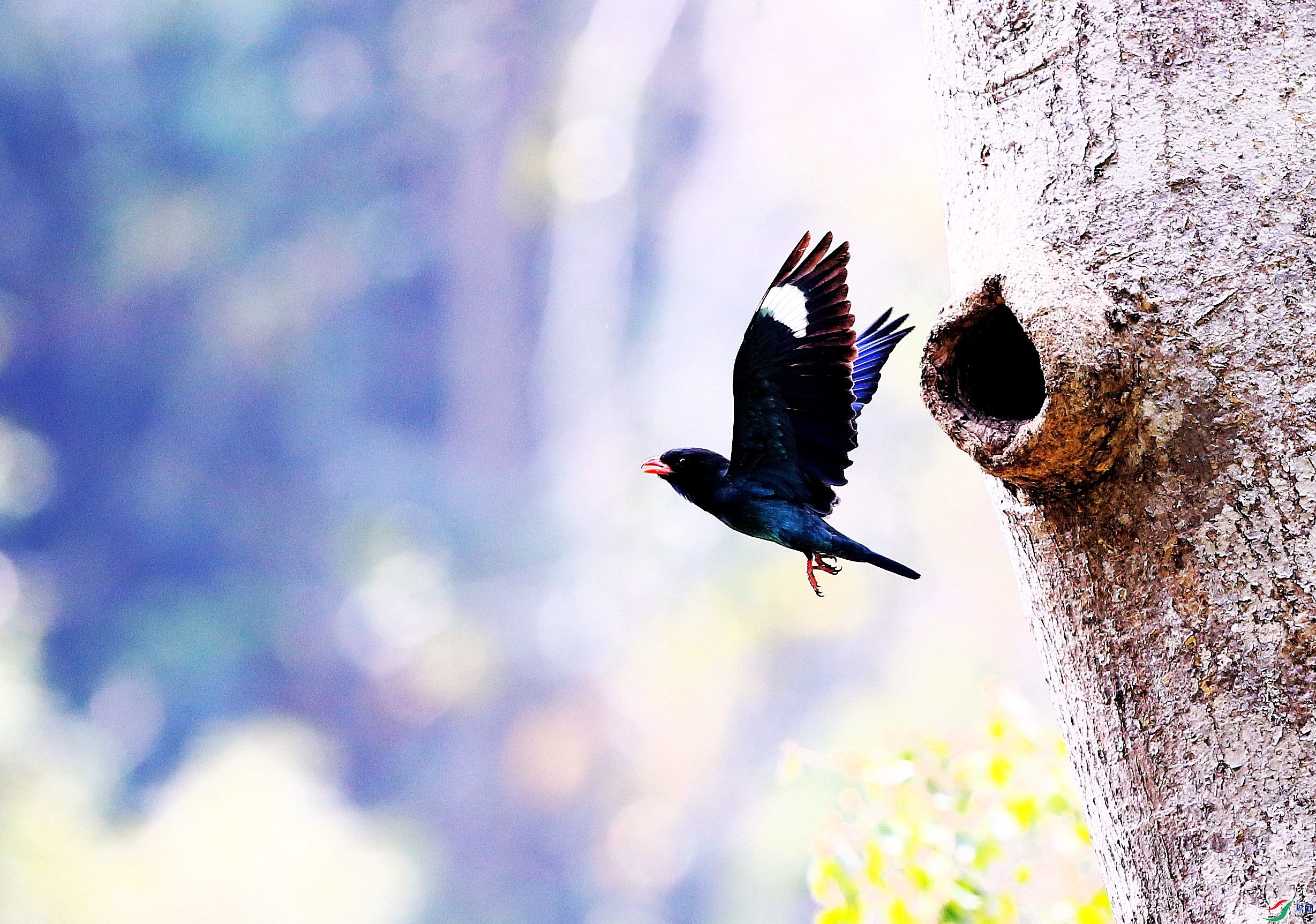 ������ (73).JPG