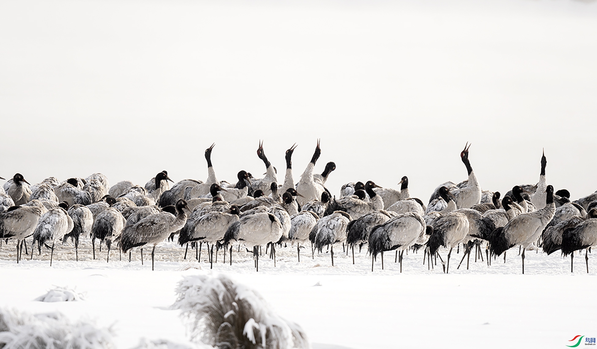 DSC_0278 ����.jpg