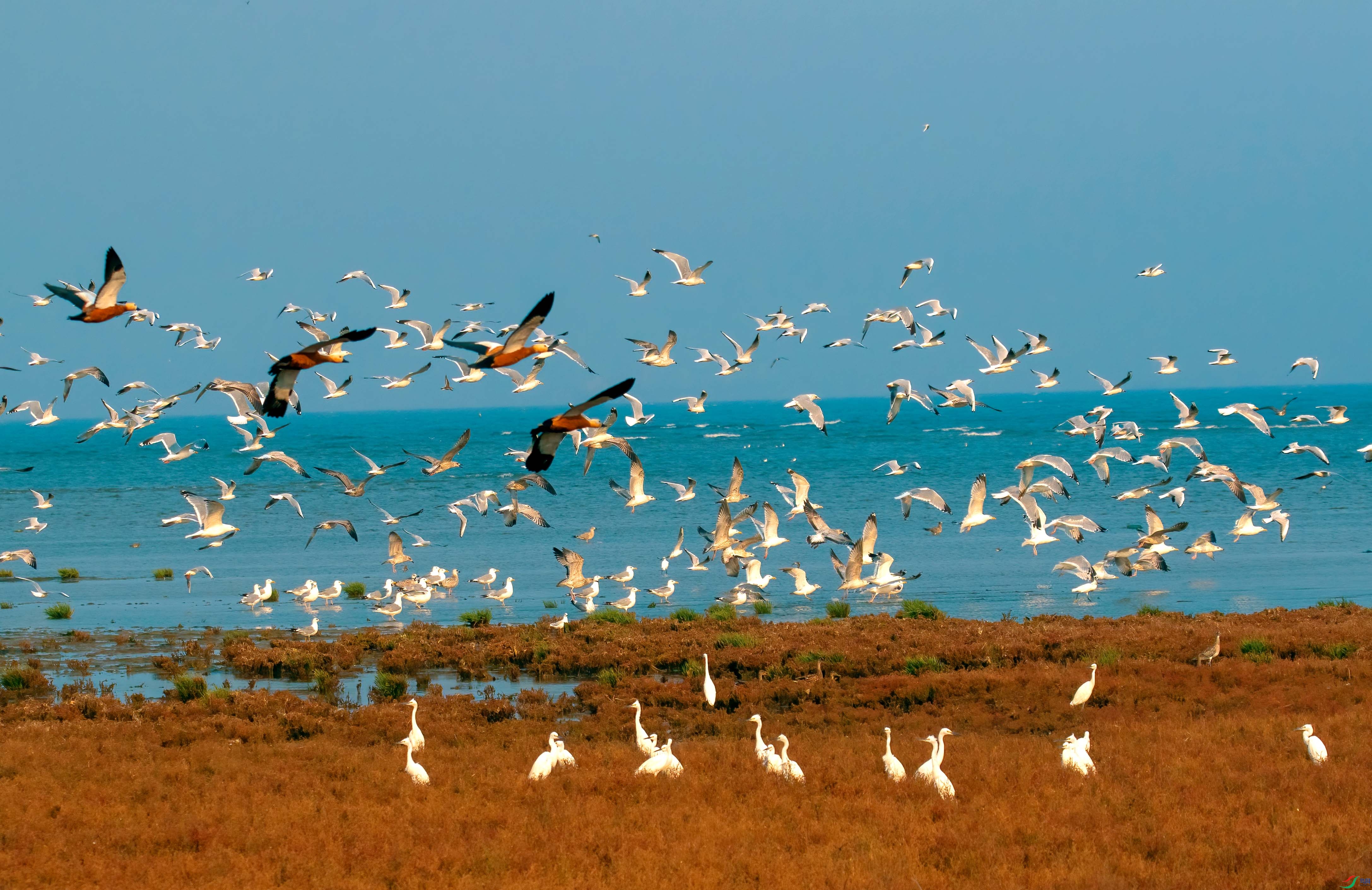 8X2A9973 ����.jpg