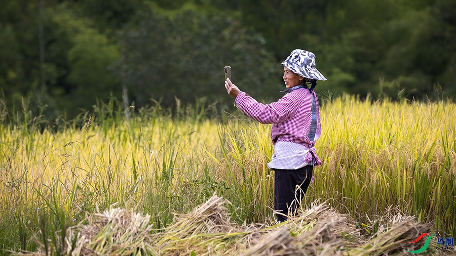 3V6A5018 ����.jpg