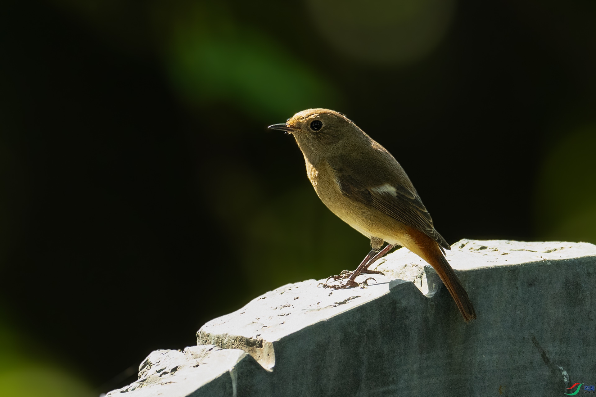 DSC_0047.jpg